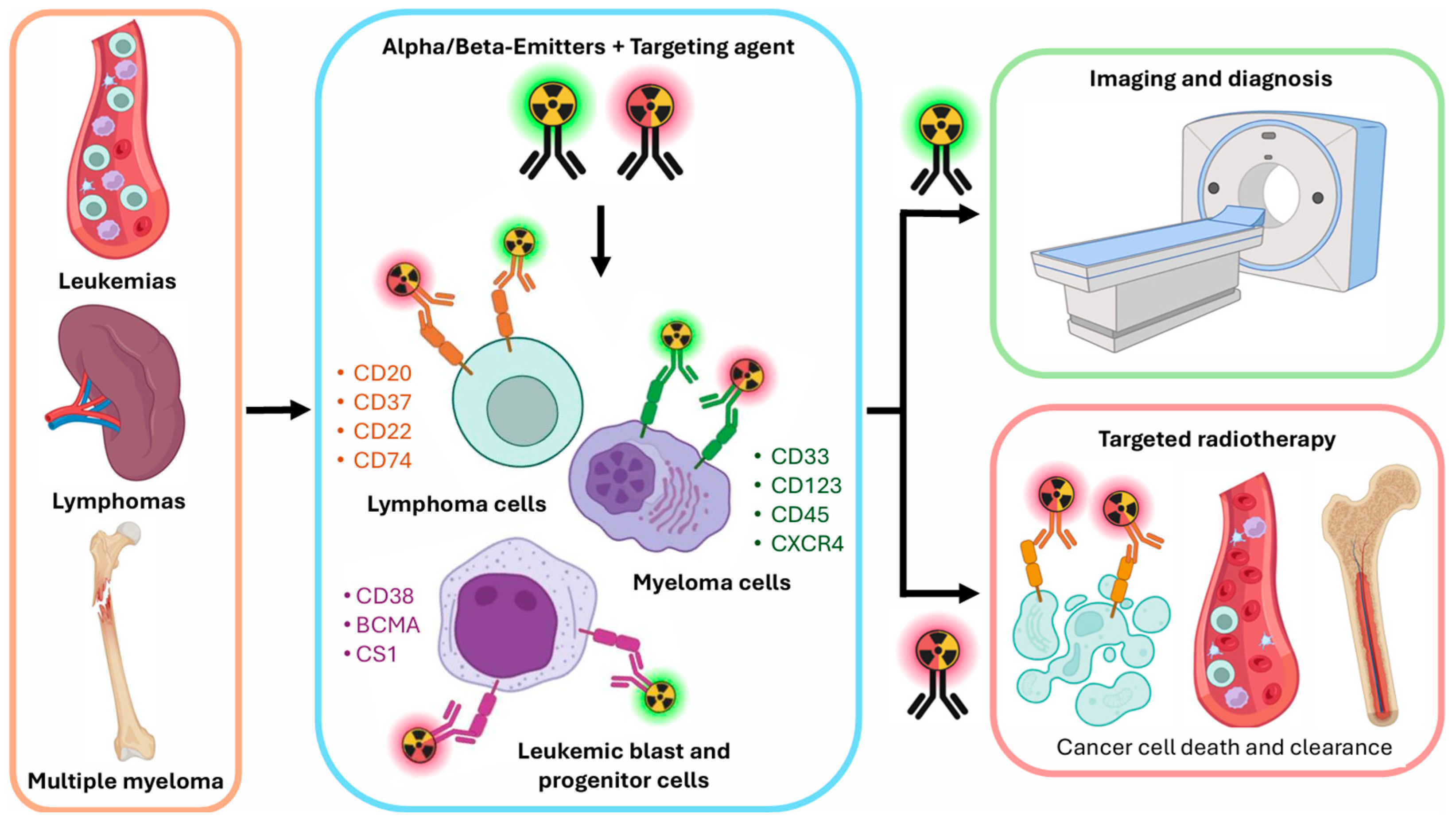 Cancers 17 01247 g001