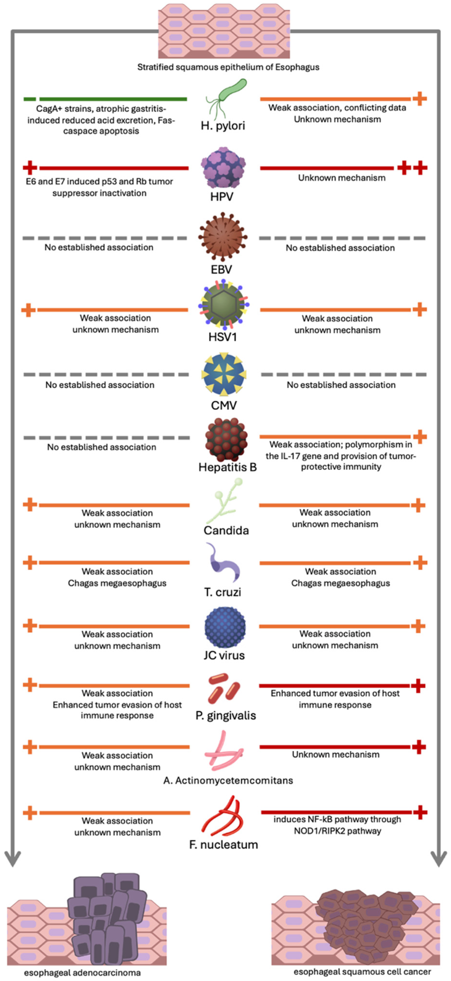 Cancers 17 01248 g001 Cancers 17 01248 g001