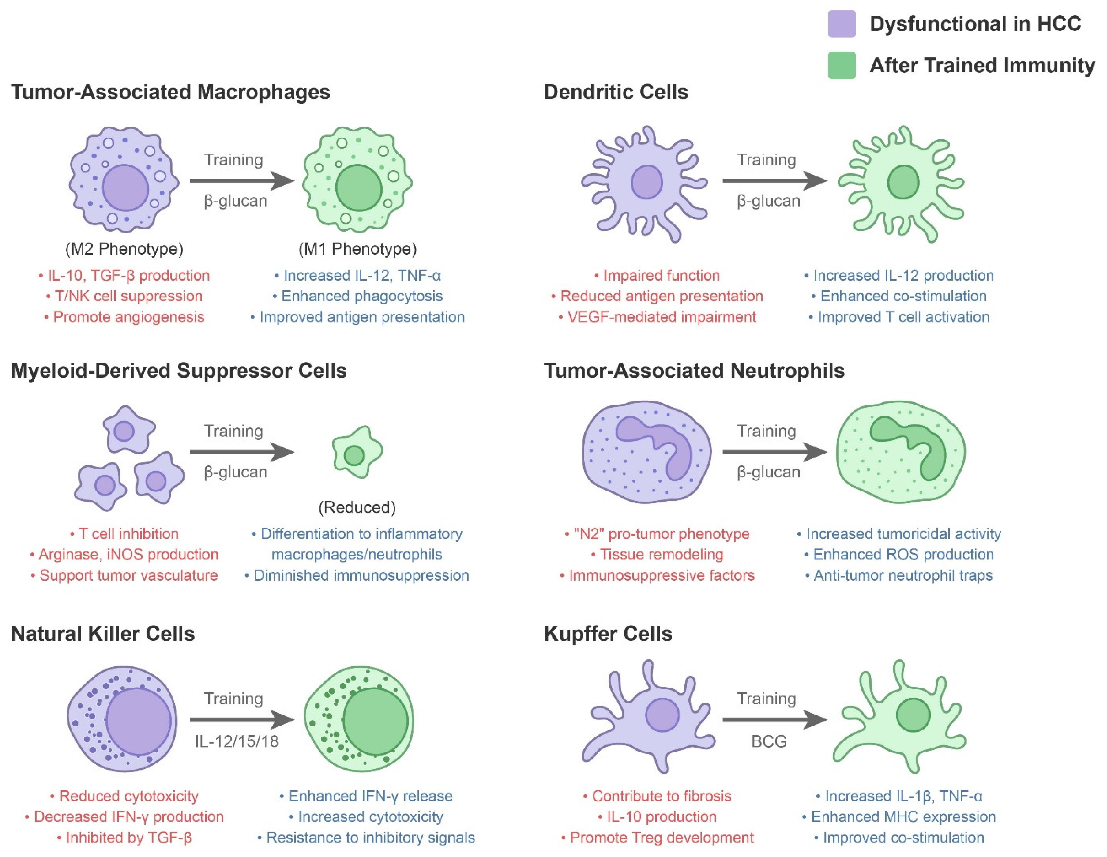 Cancers 17 01250 g001