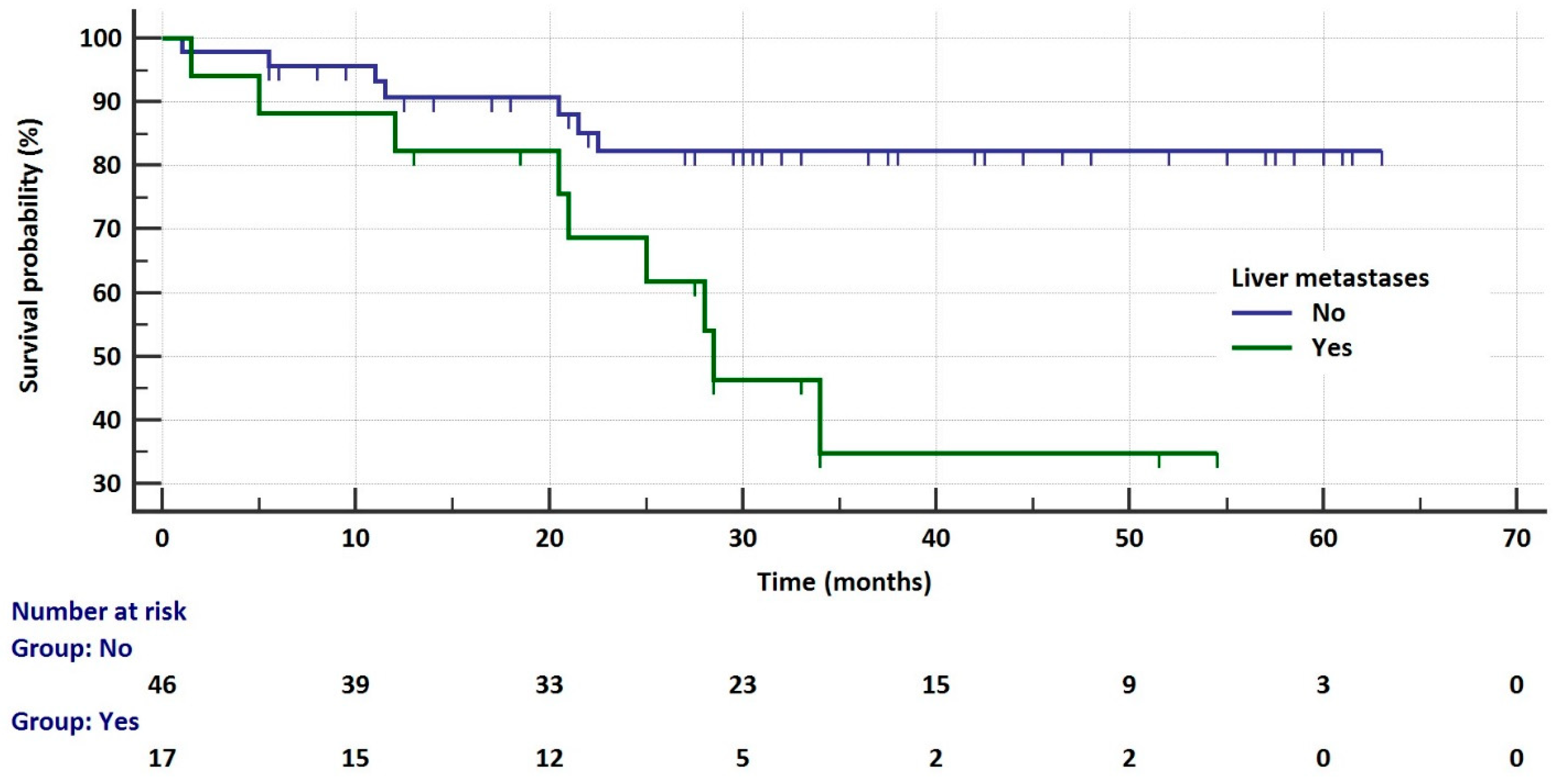 Cancers 17 01253 g007