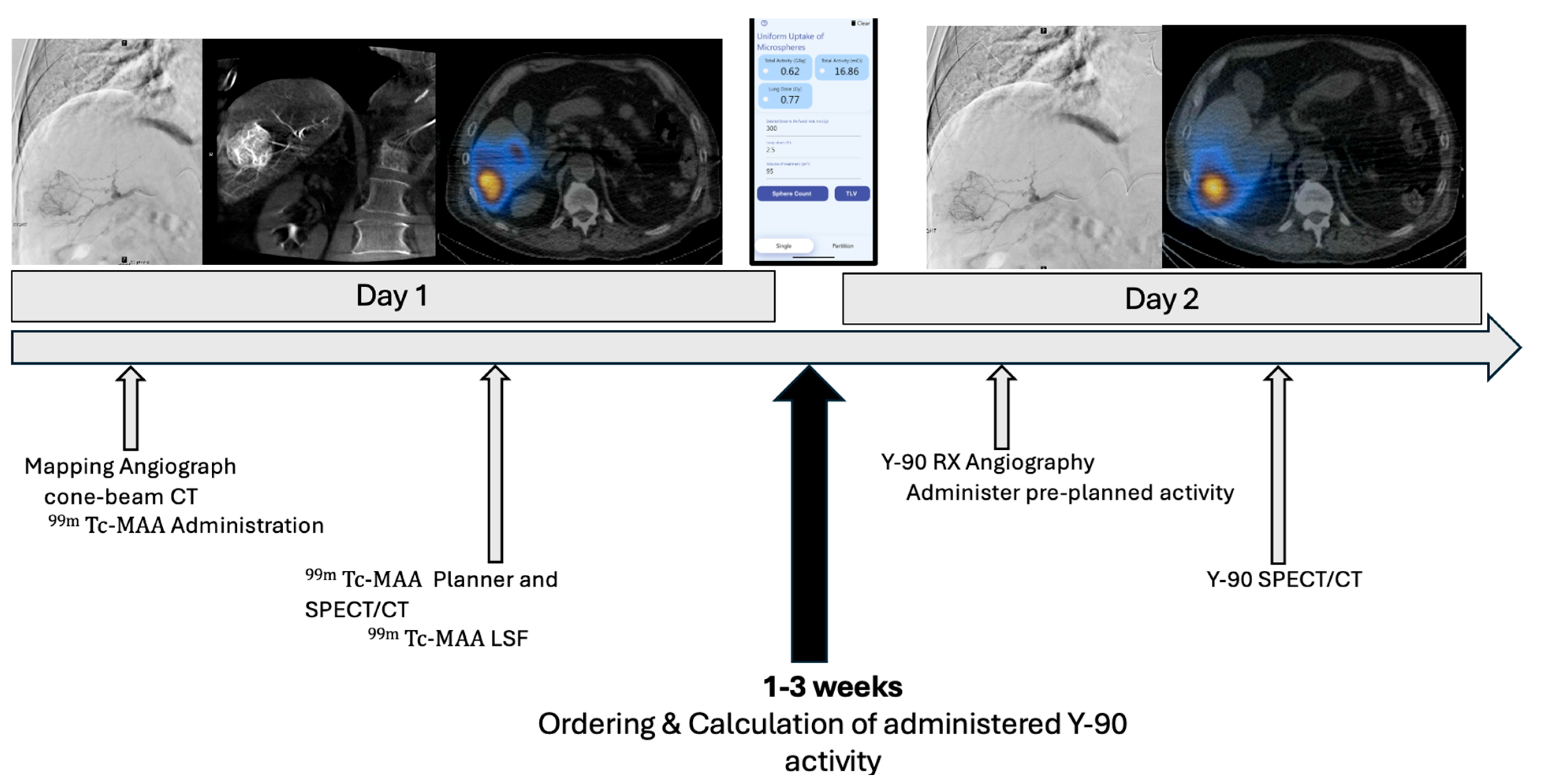Cancers 17 01265 g001a