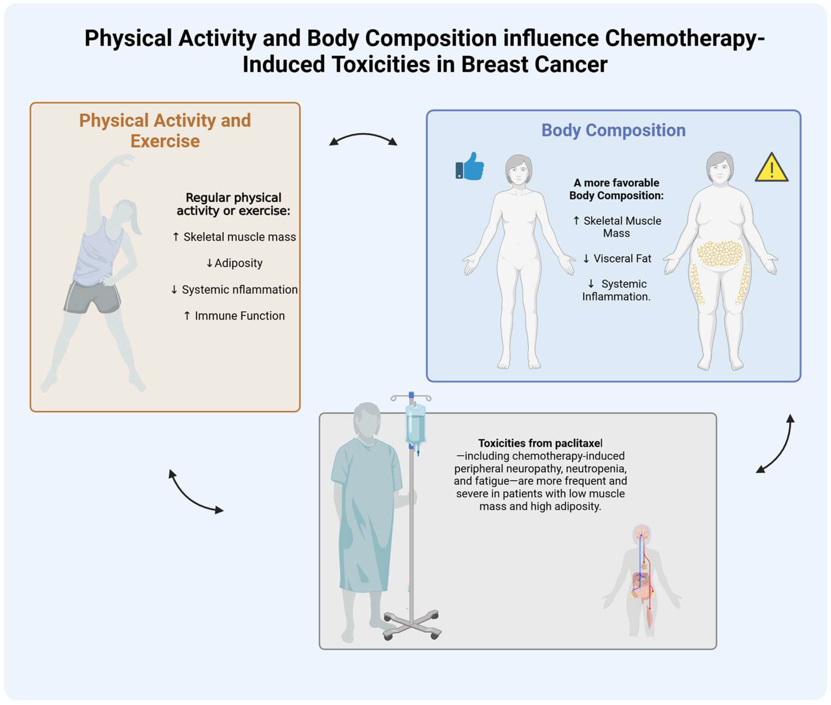 Cancers 17 01271 g001