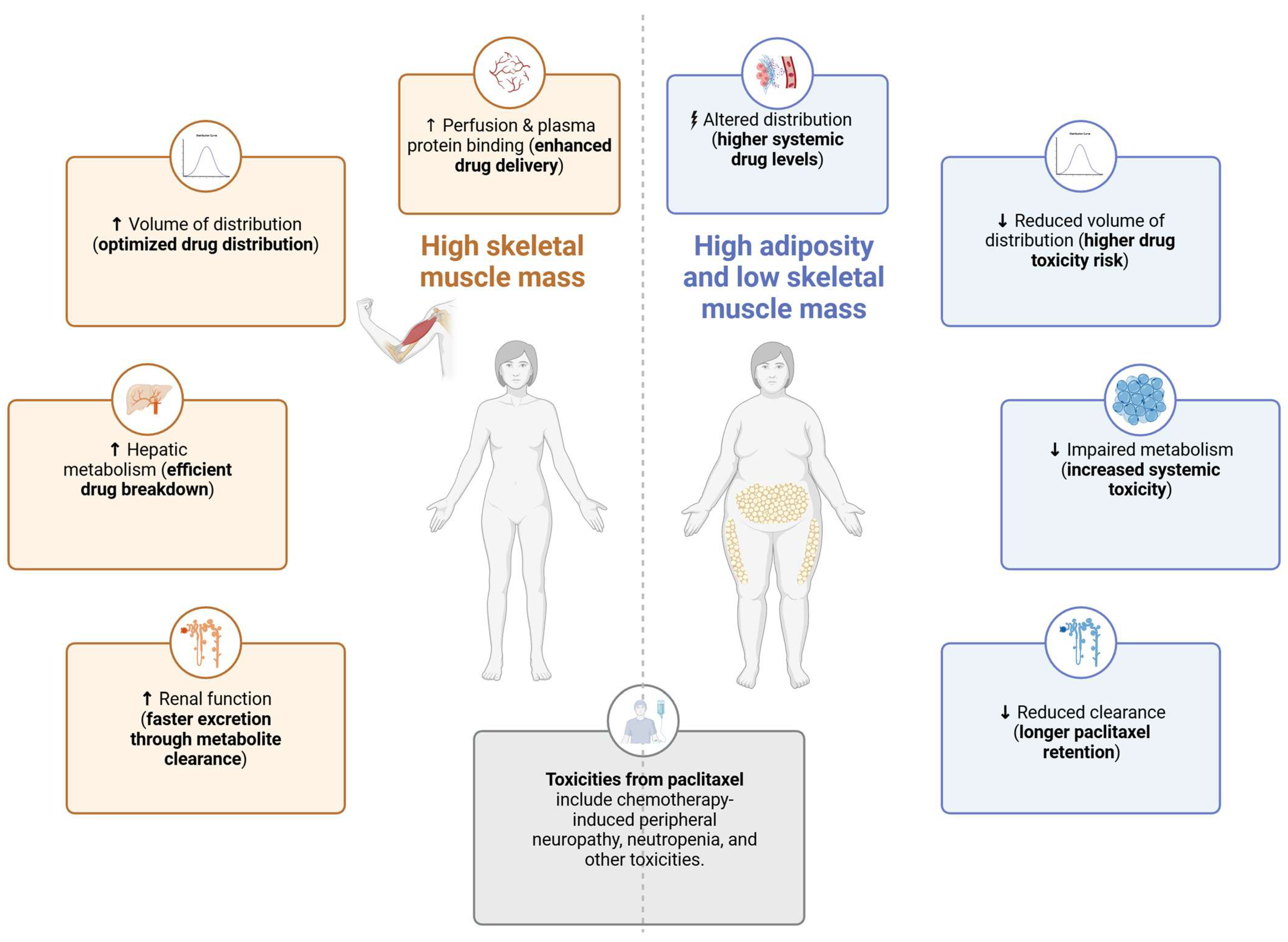 Cancers 17 01271 g002
