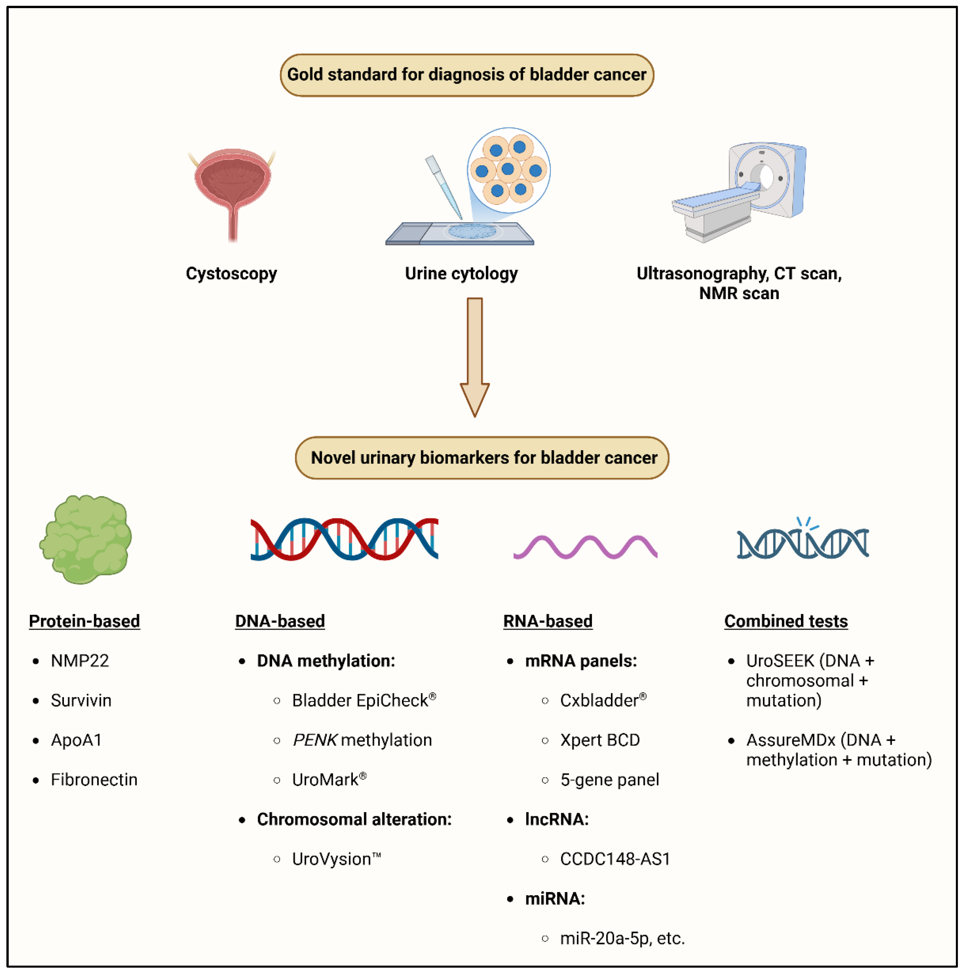 Cancers 17 01283 g001