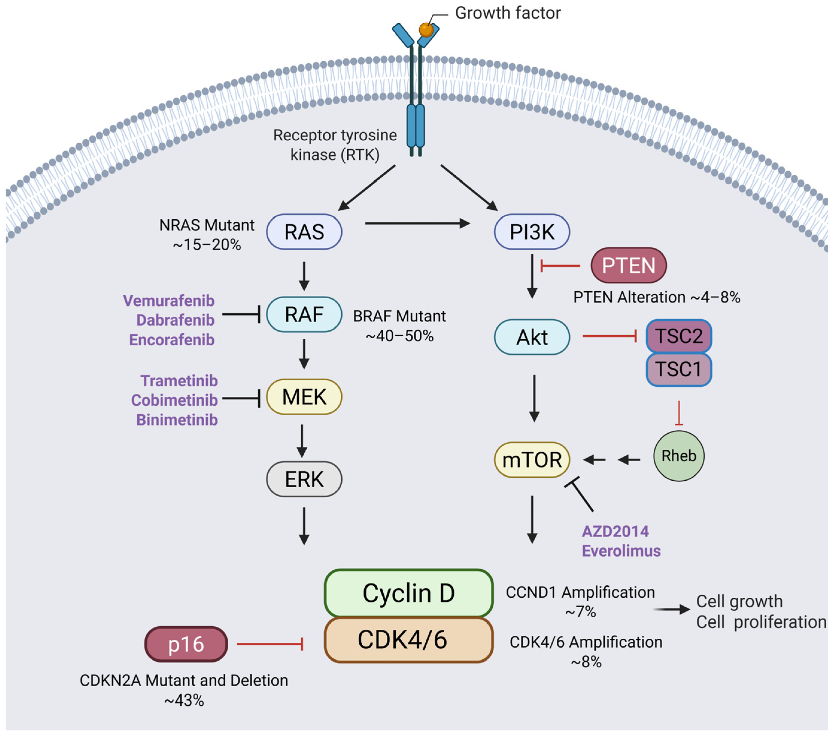 Cancers 17 01291 g001