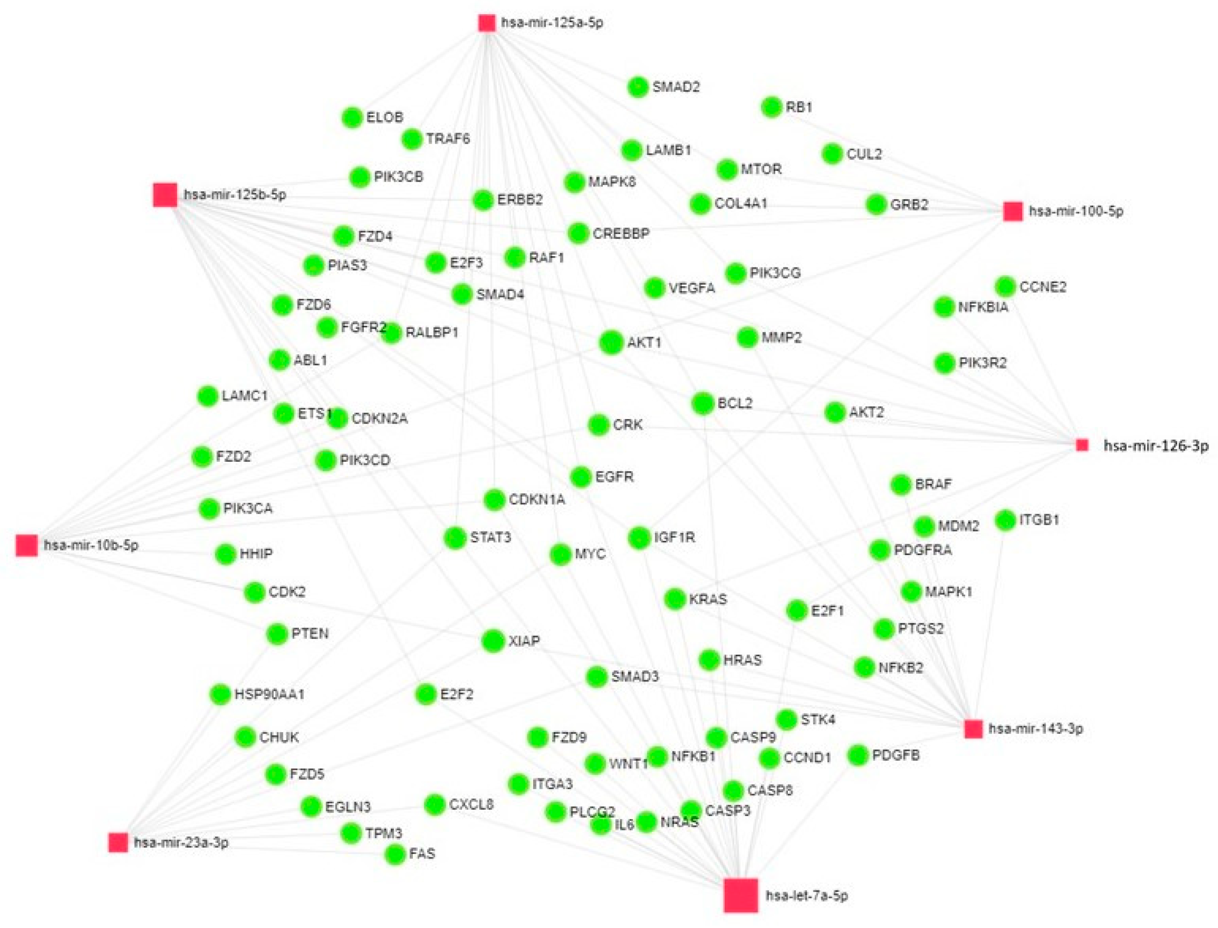 Cancers 17 01300 g005 Cancers 17 01300 g005