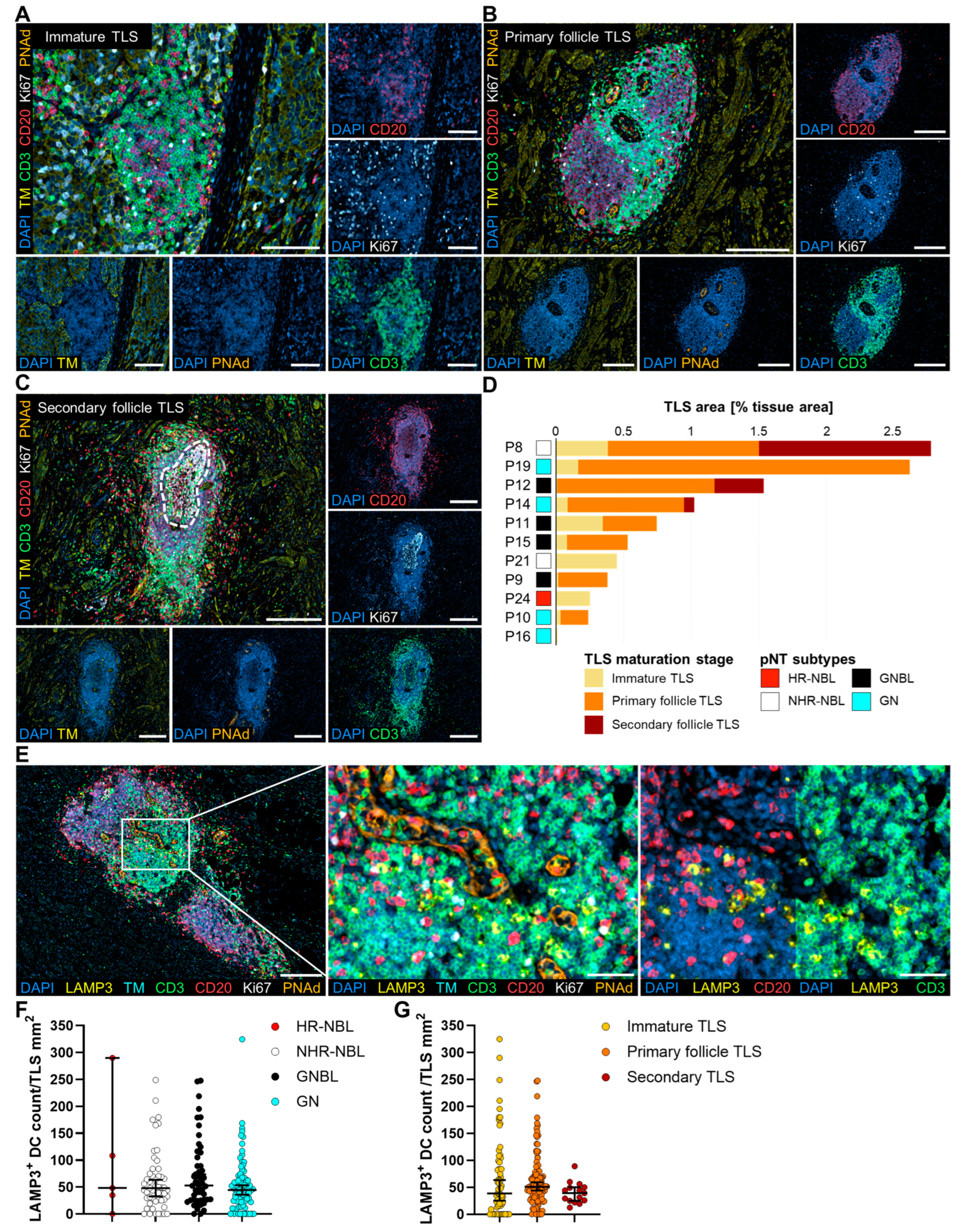 Cancers 17 01303 g005
