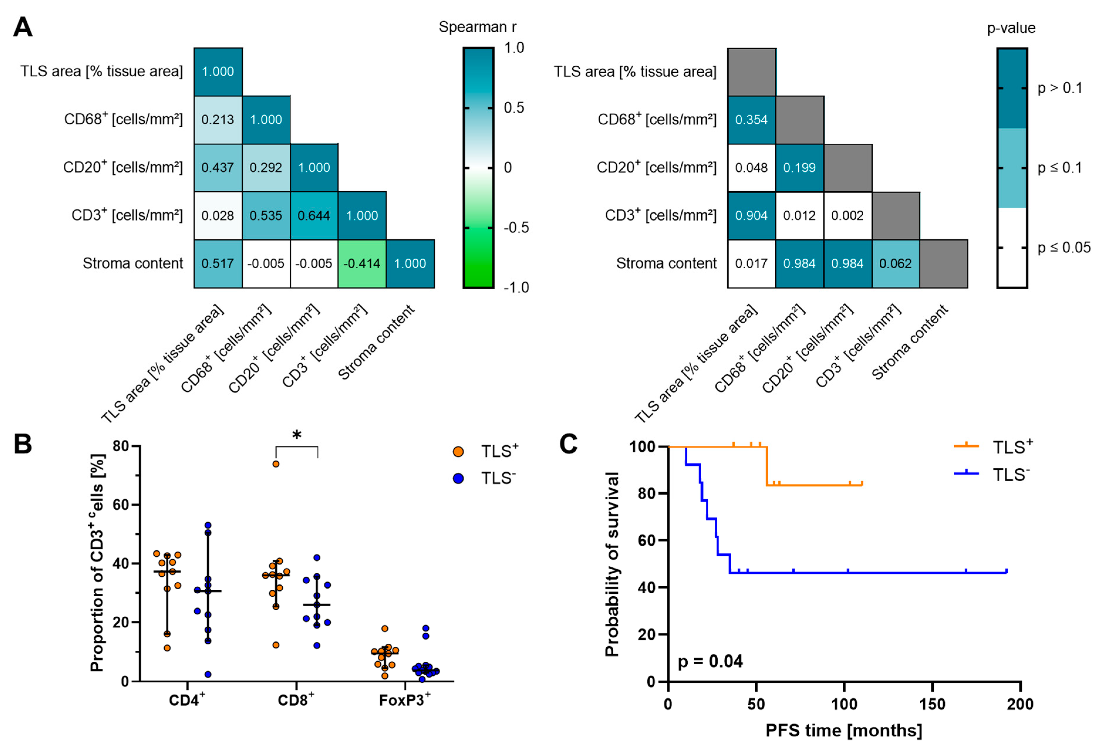Cancers 17 01303 g006