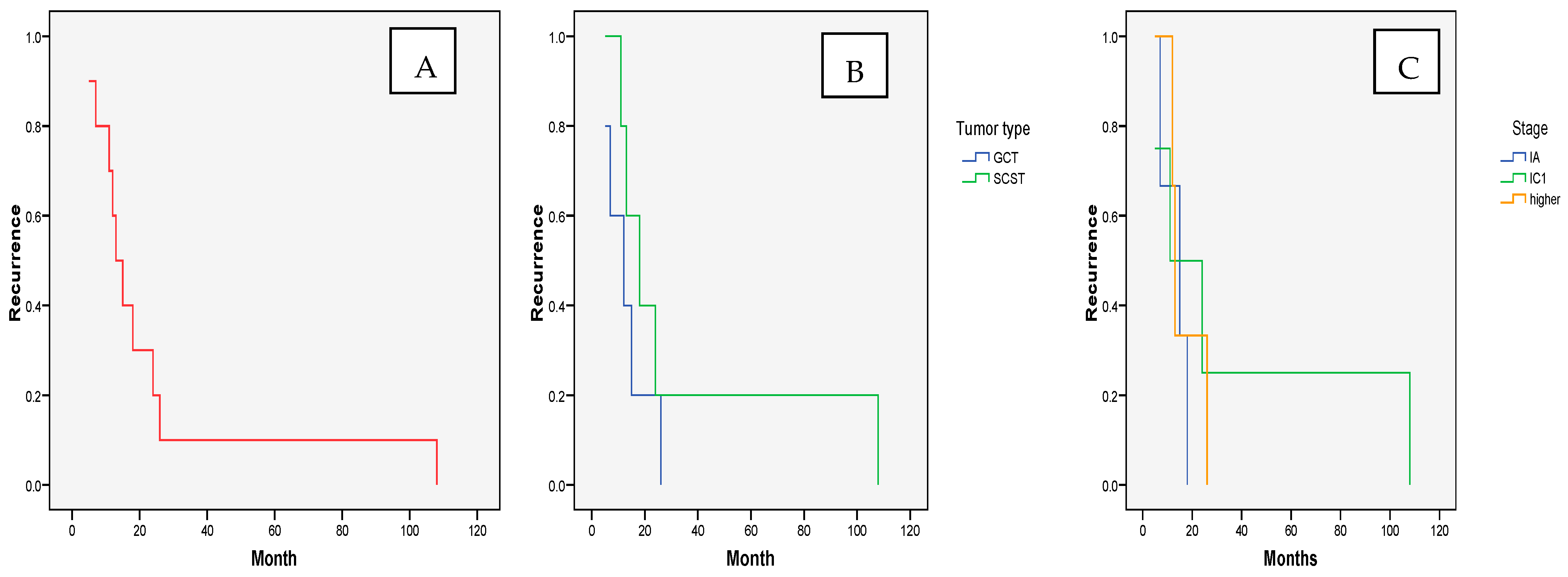 Cancers 17 01304 g001