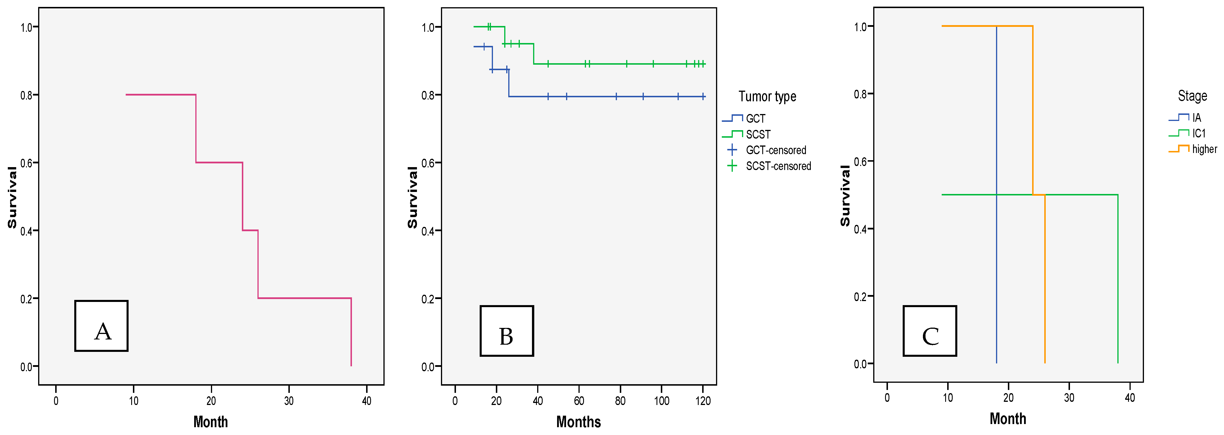 Cancers 17 01304 g002