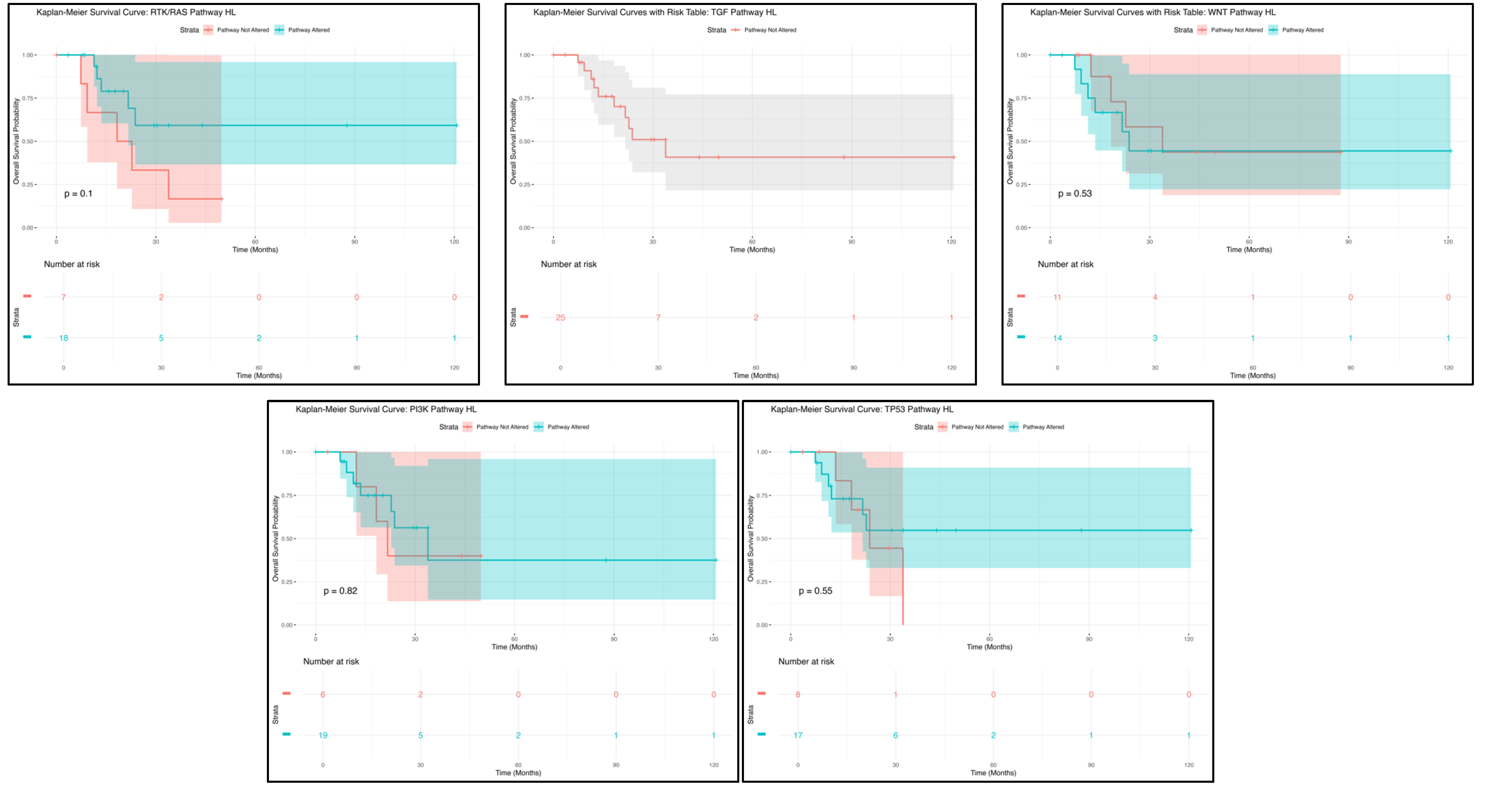 Cancers 17 01309 g001