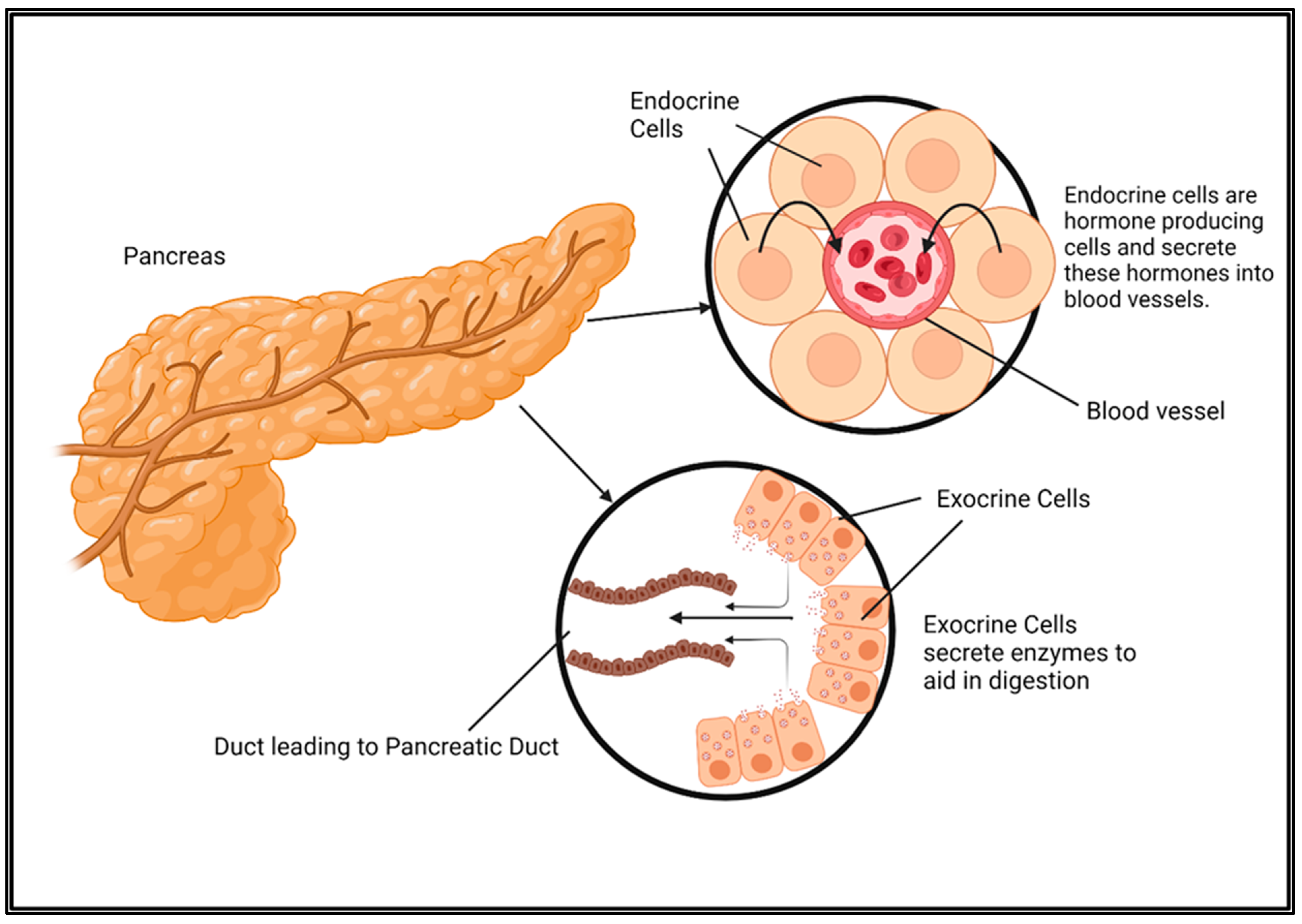 Cancers 17 01319 g001