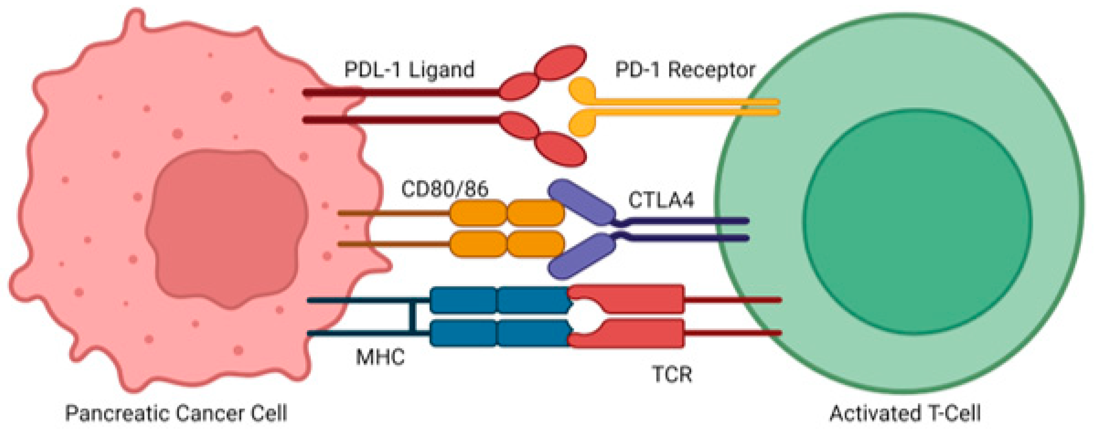 Cancers 17 01319 g003