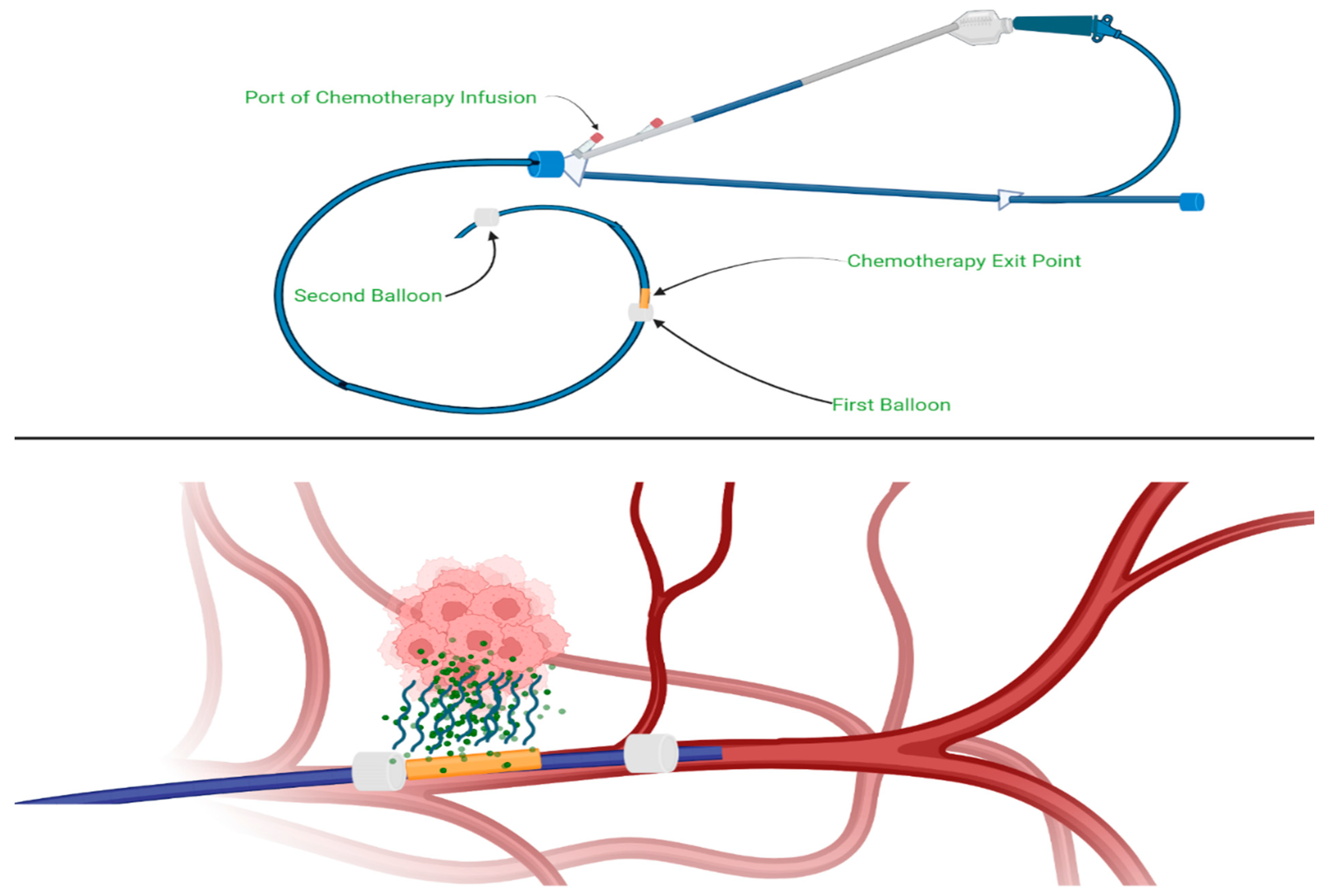 Cancers 17 01319 g007