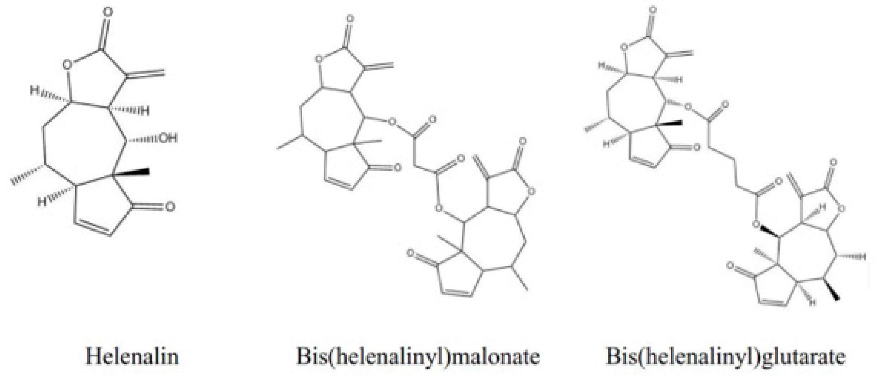 Cancers 17 01321 g001