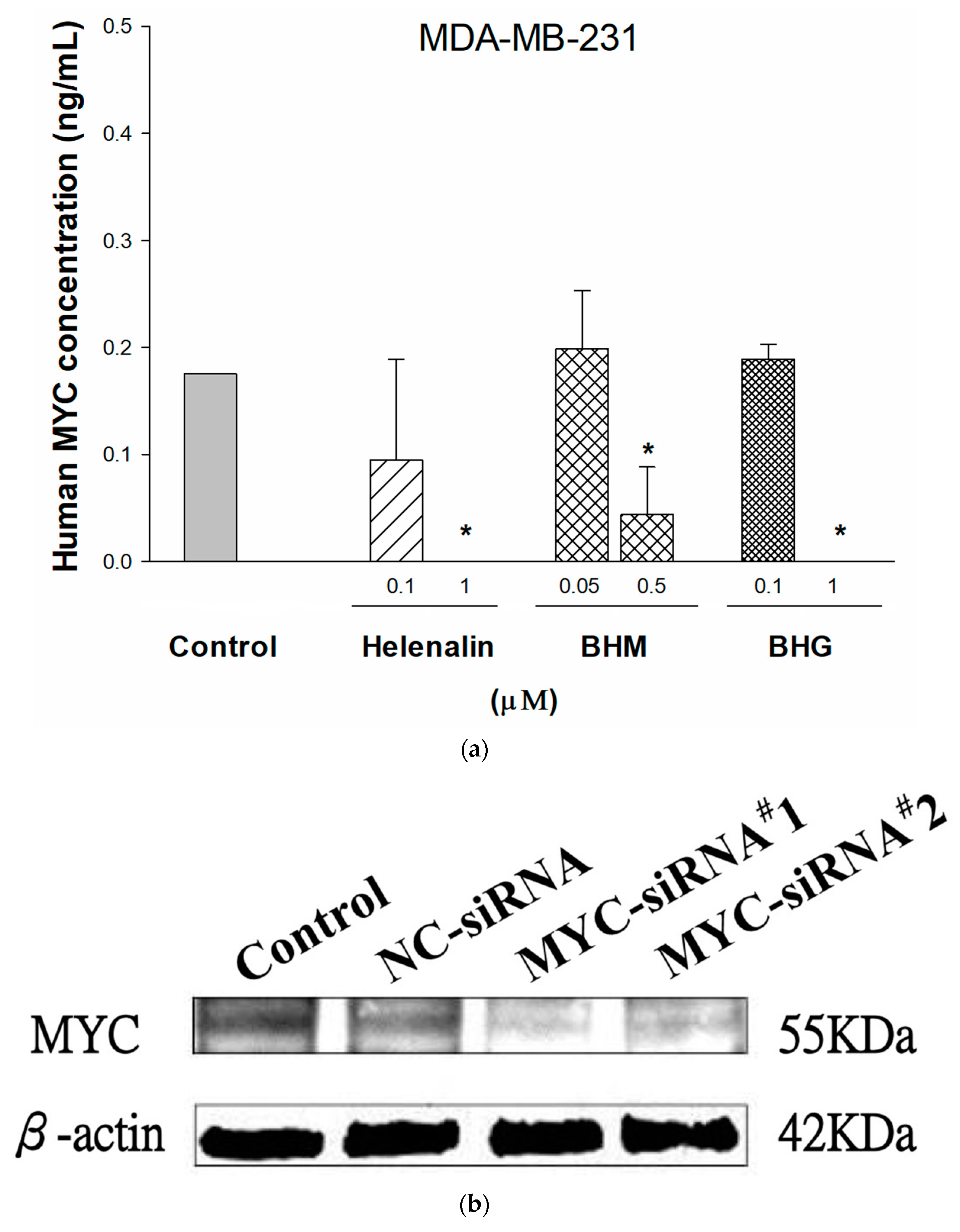 Cancers 17 01321 g003a