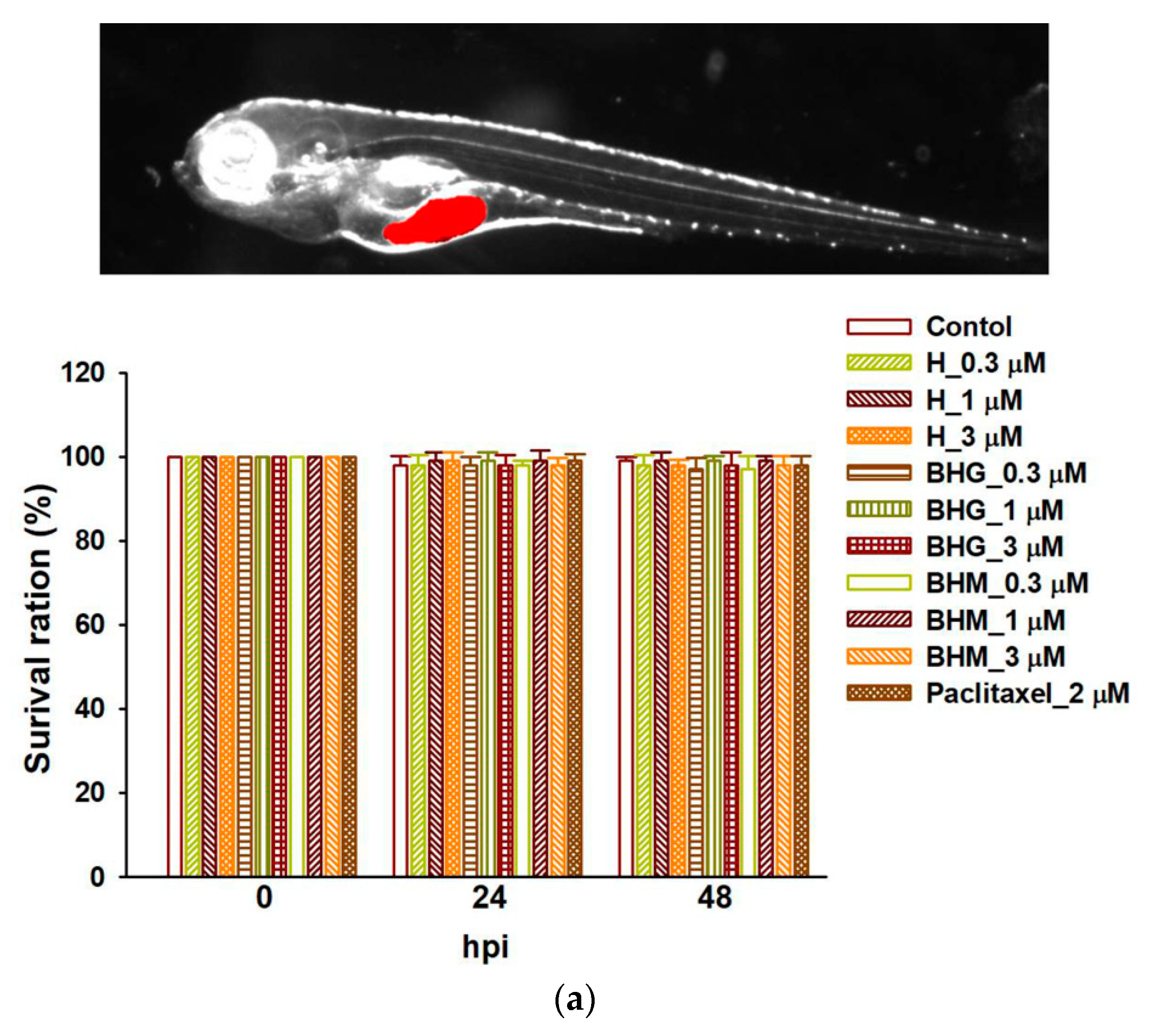 Cancers 17 01321 g008a