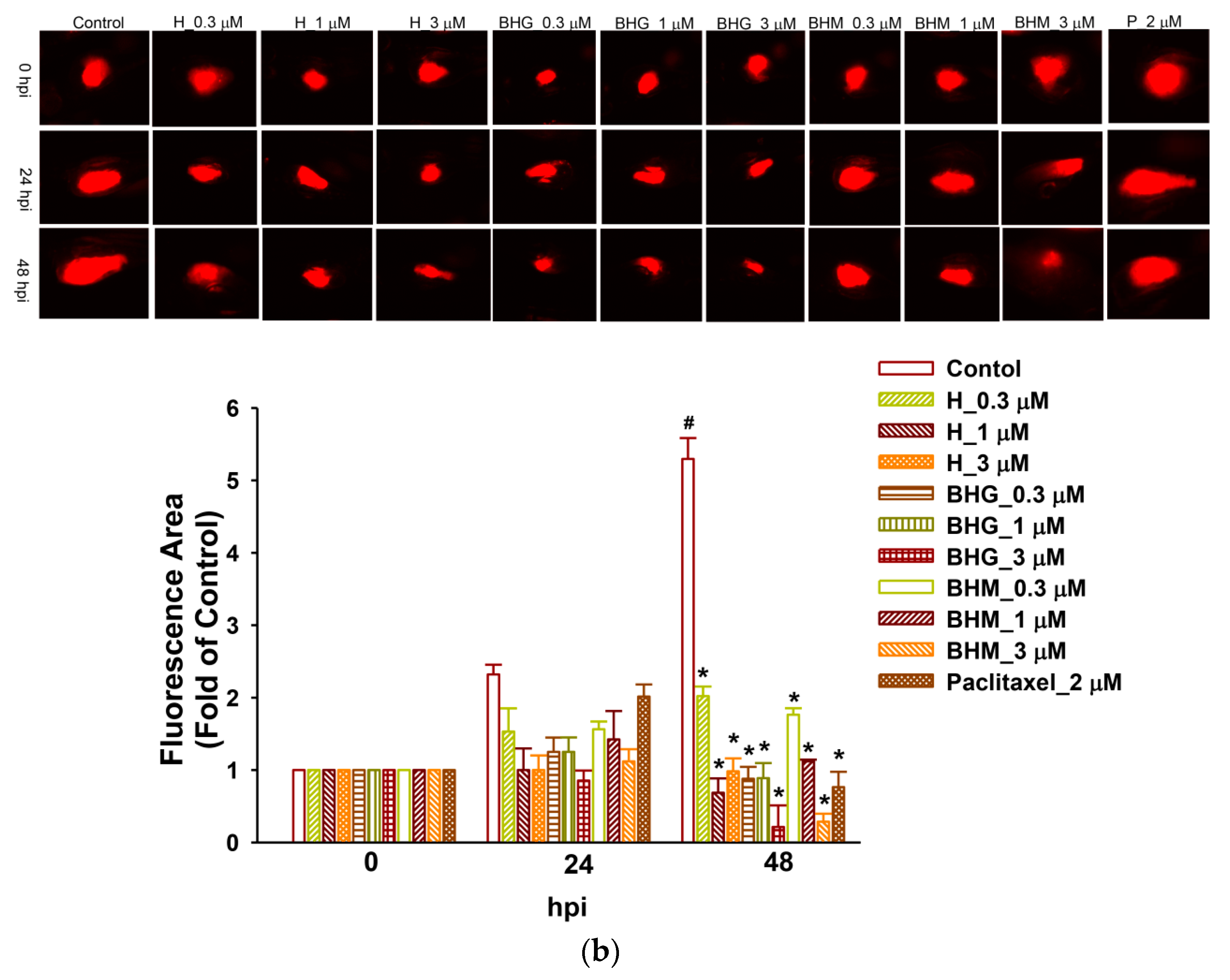 Cancers 17 01321 g008b