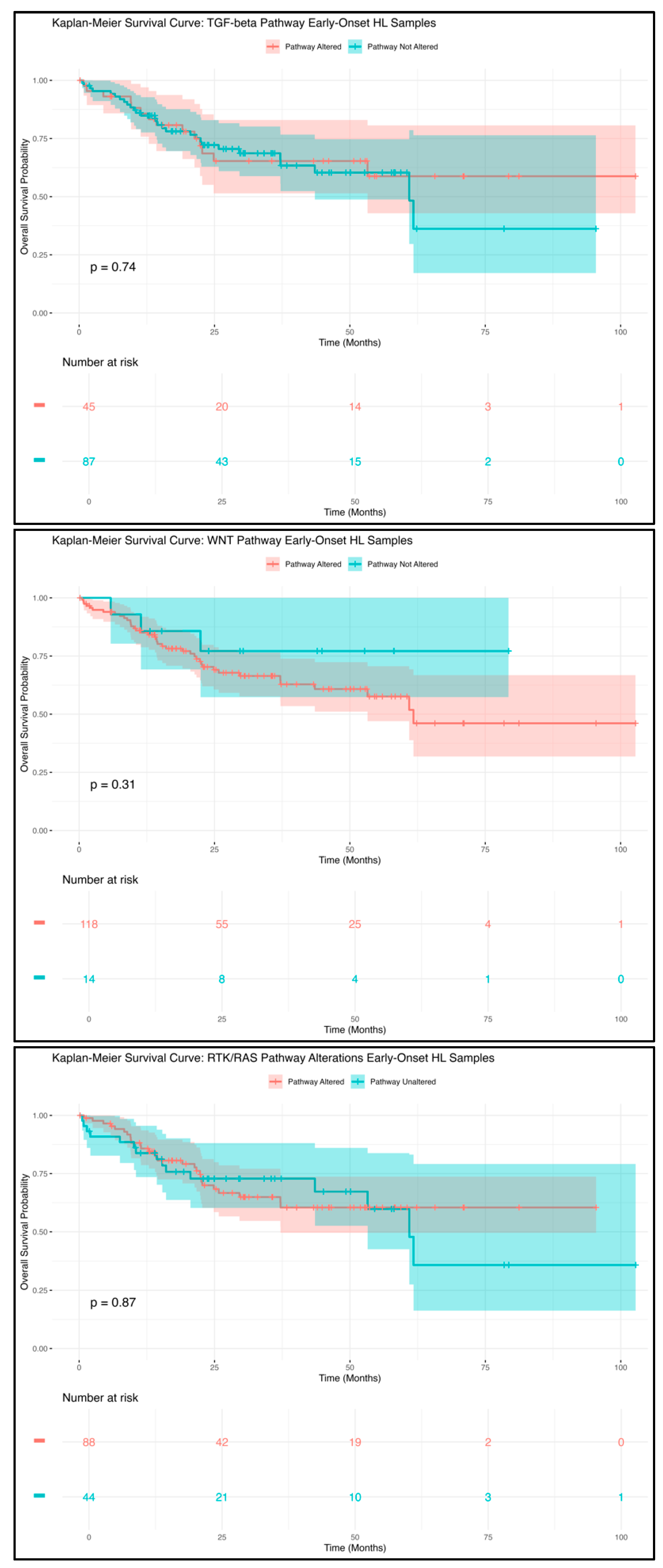 Cancers 17 01325 g001