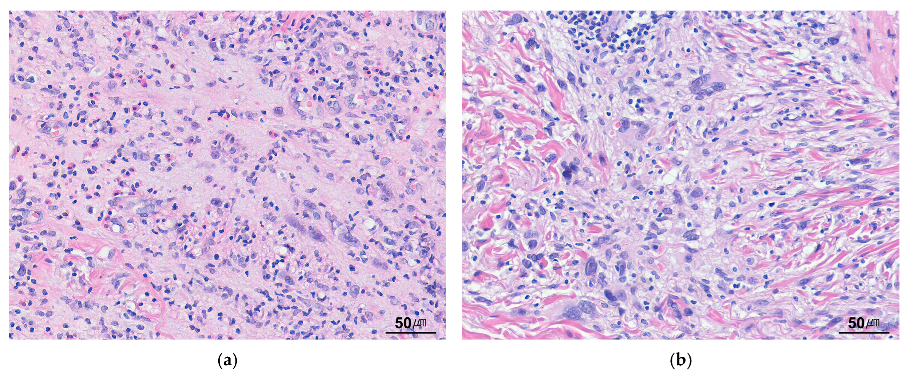 Cancers 17 01327 g010