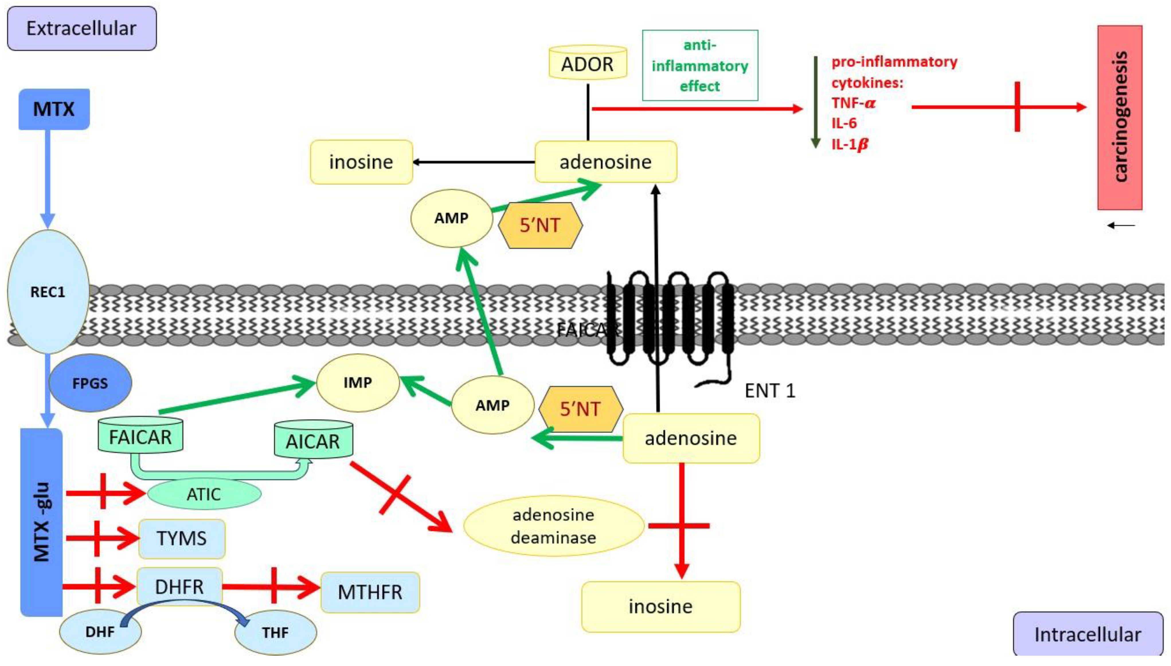 Cancers 17 01330 g002