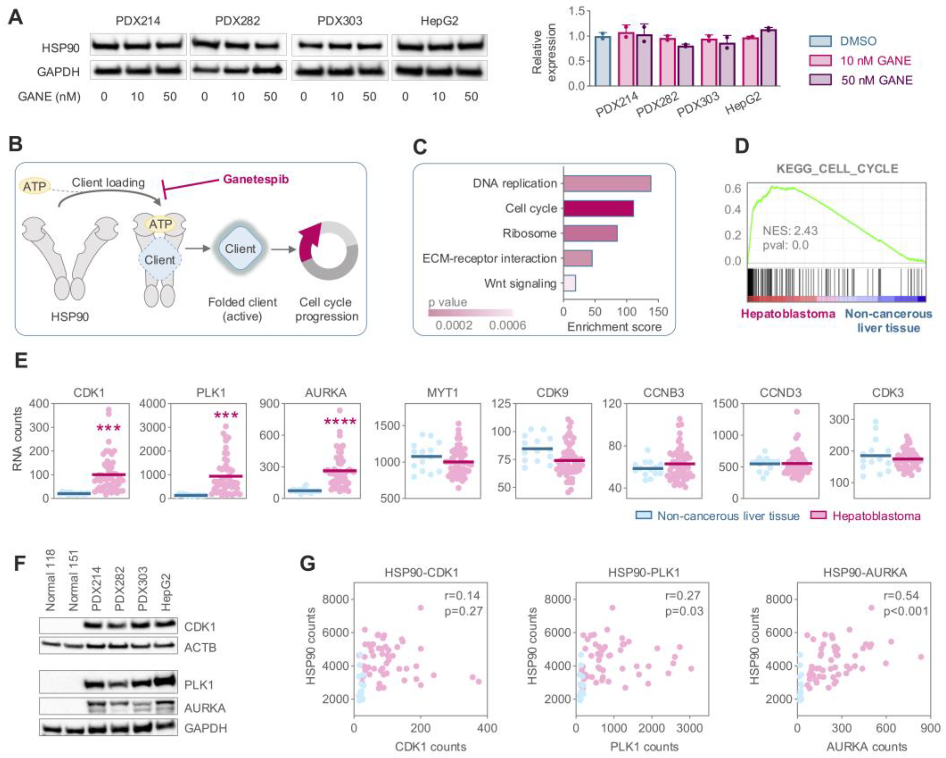 Cancers 17 01341 g004