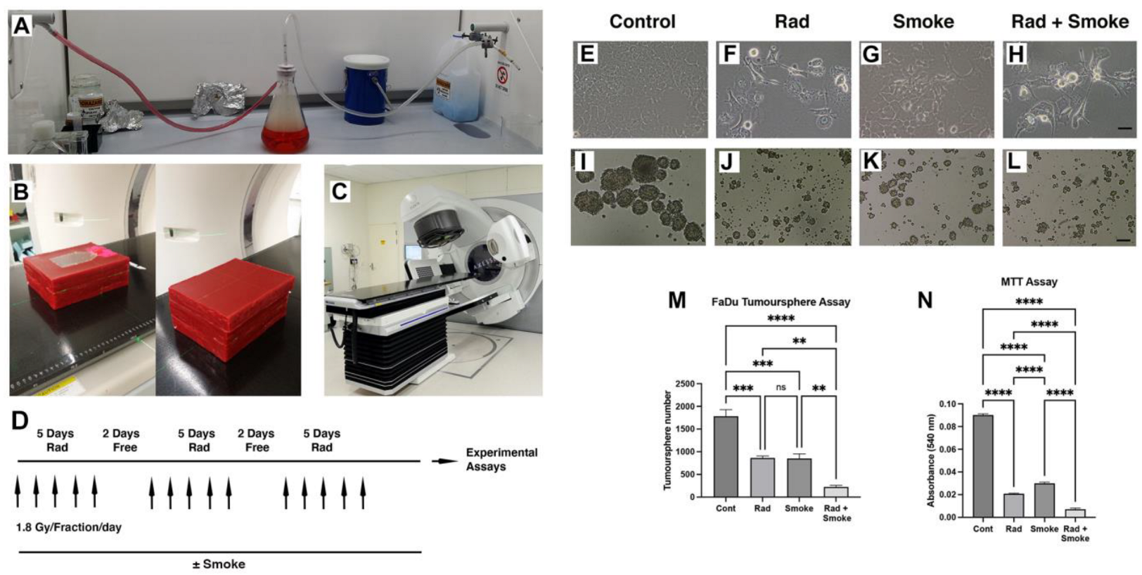Cancers 17 01346 g001