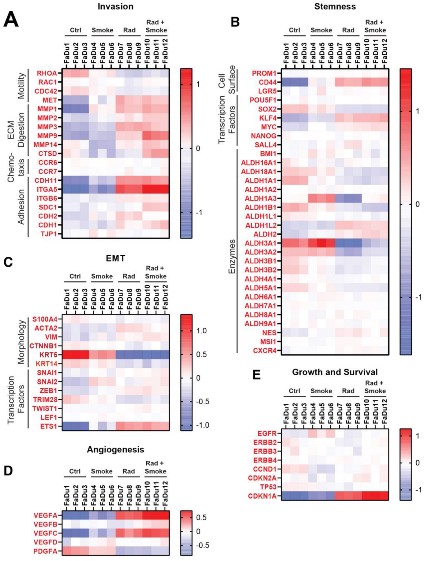 Cancers 17 01346 g005