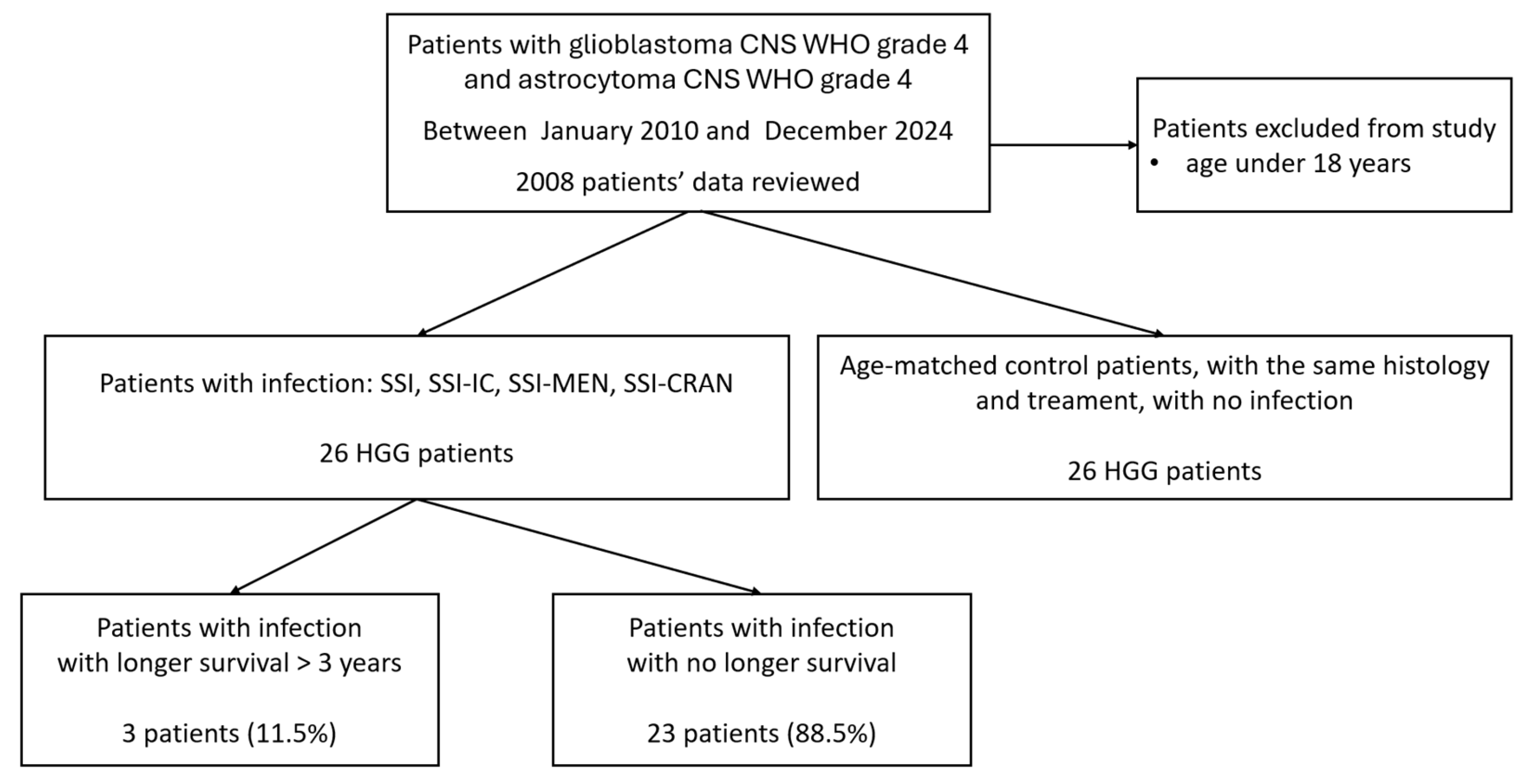 Cancers 17 01348 g001