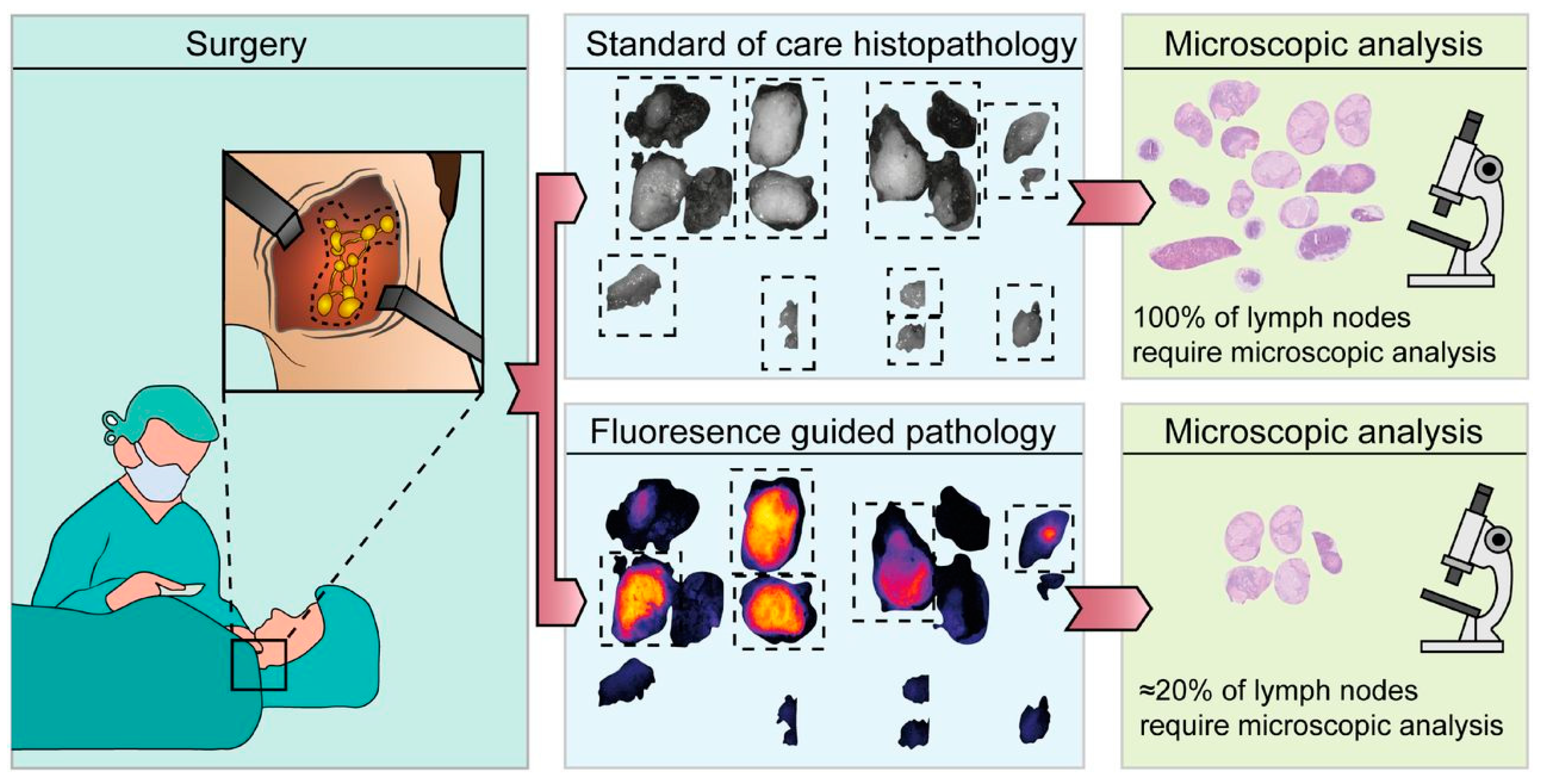 Cancers 17 01352 g002
