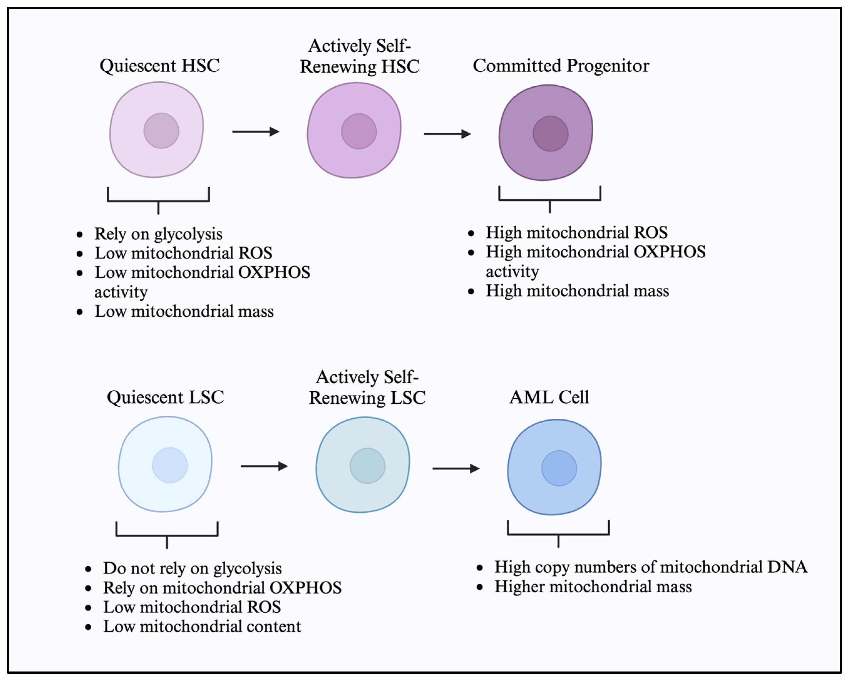 Cancers 17 01355 g001