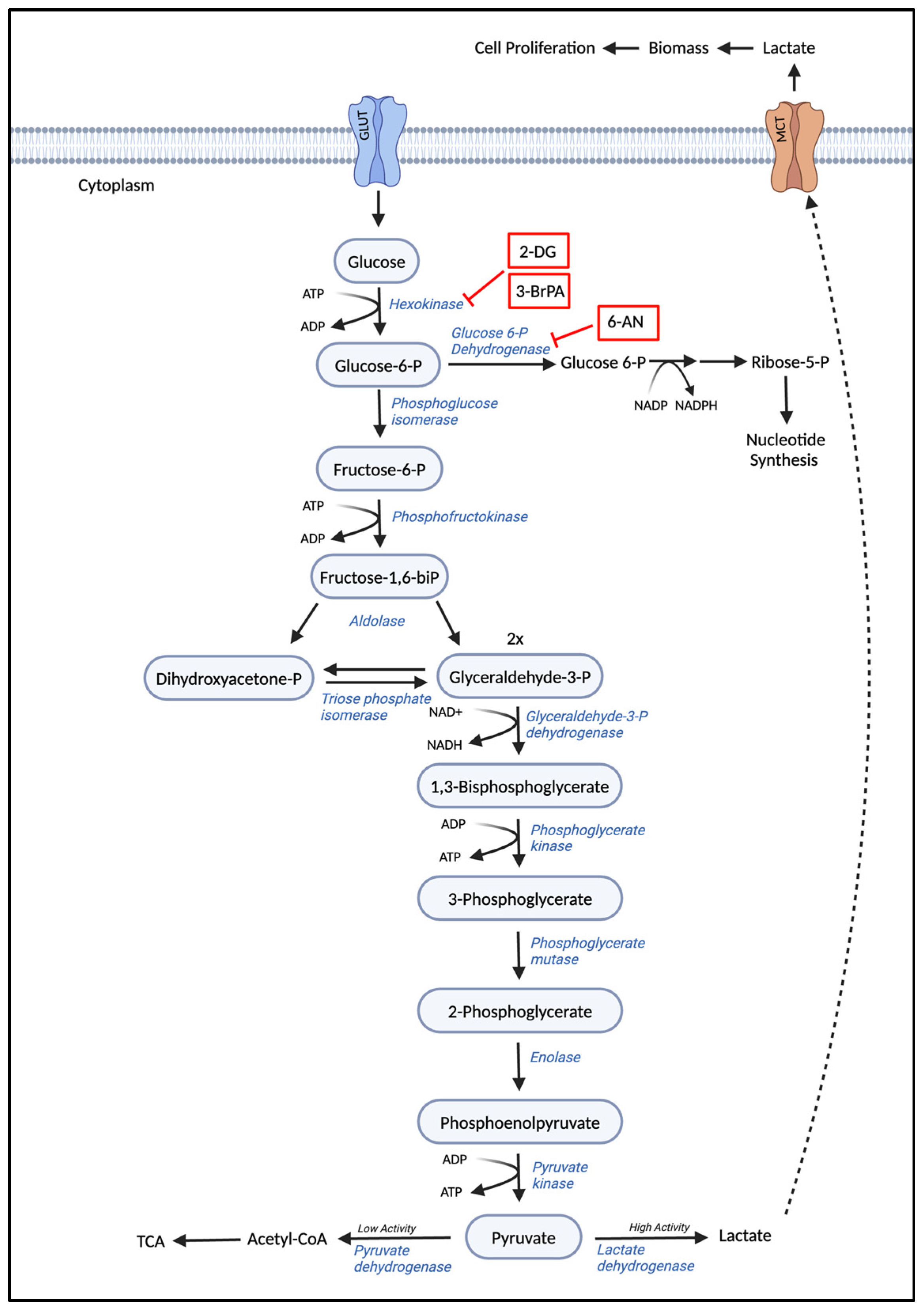 Cancers 17 01355 g002