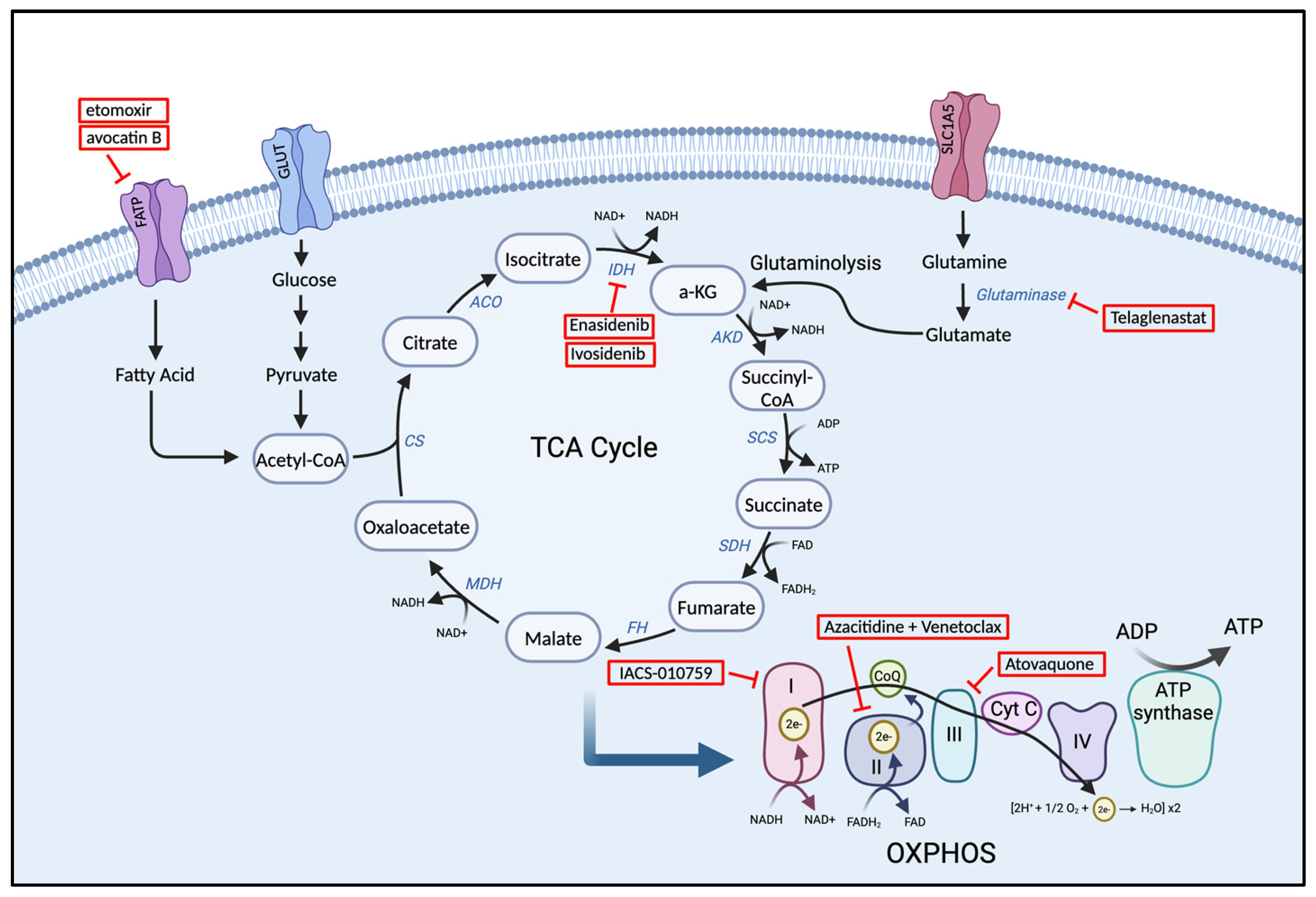 Cancers 17 01355 g003