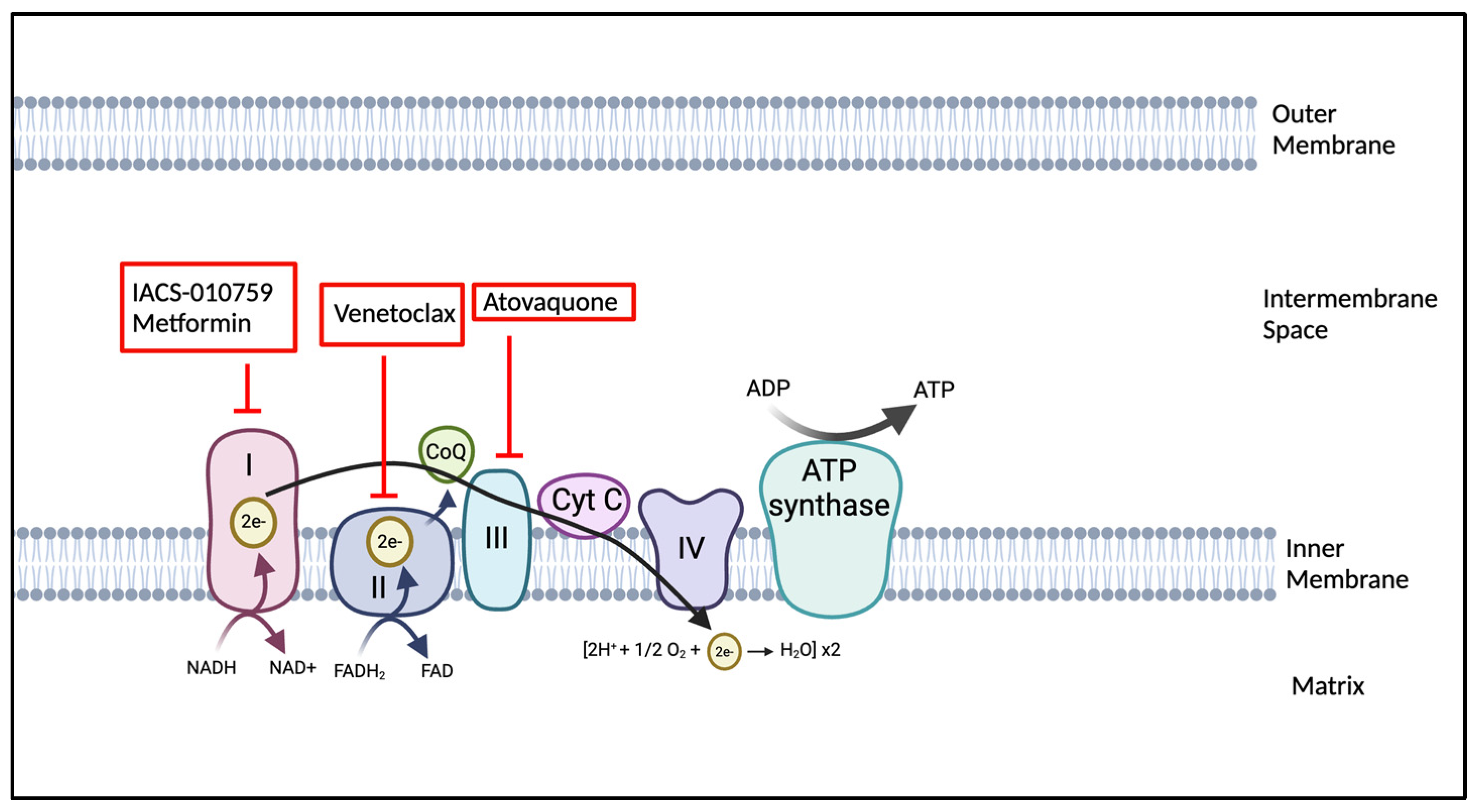Cancers 17 01355 g004