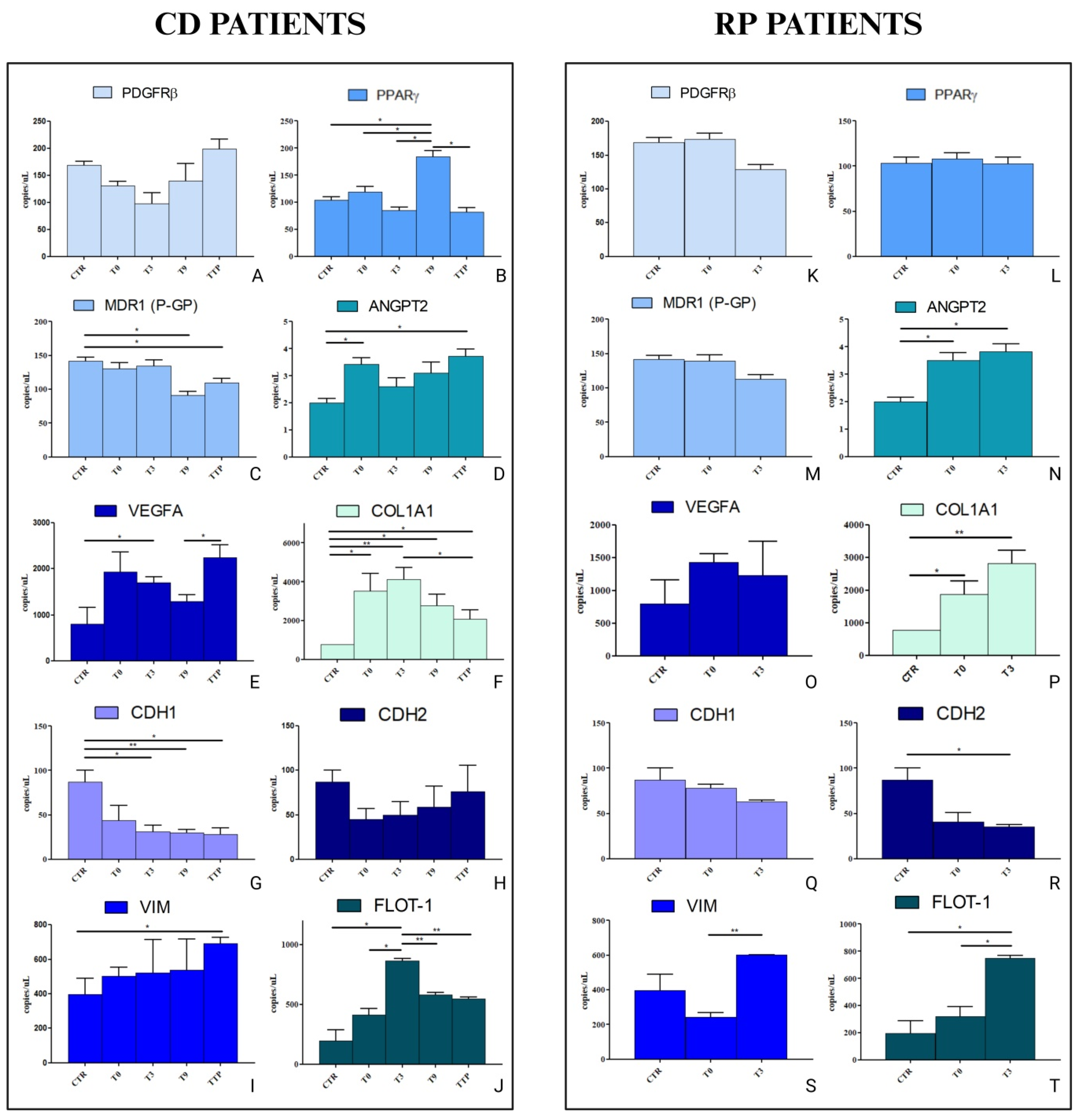 Cancers 17 01360 g005