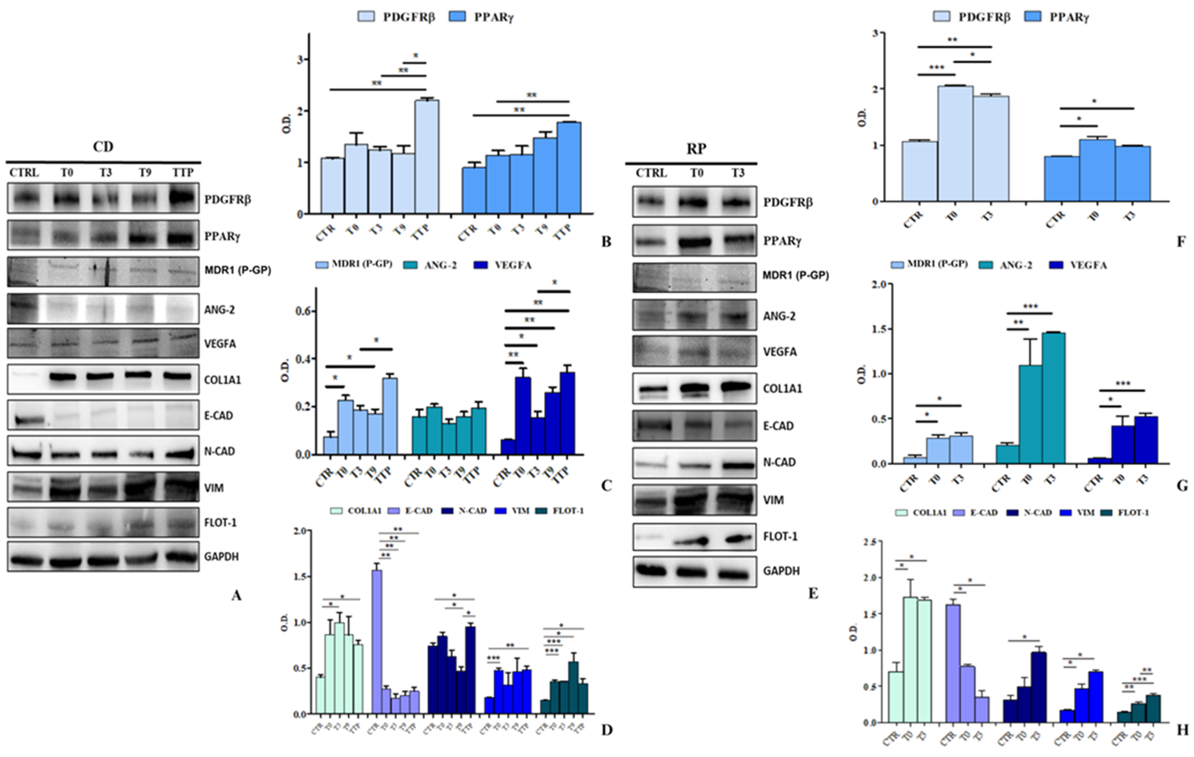 Cancers 17 01360 g007