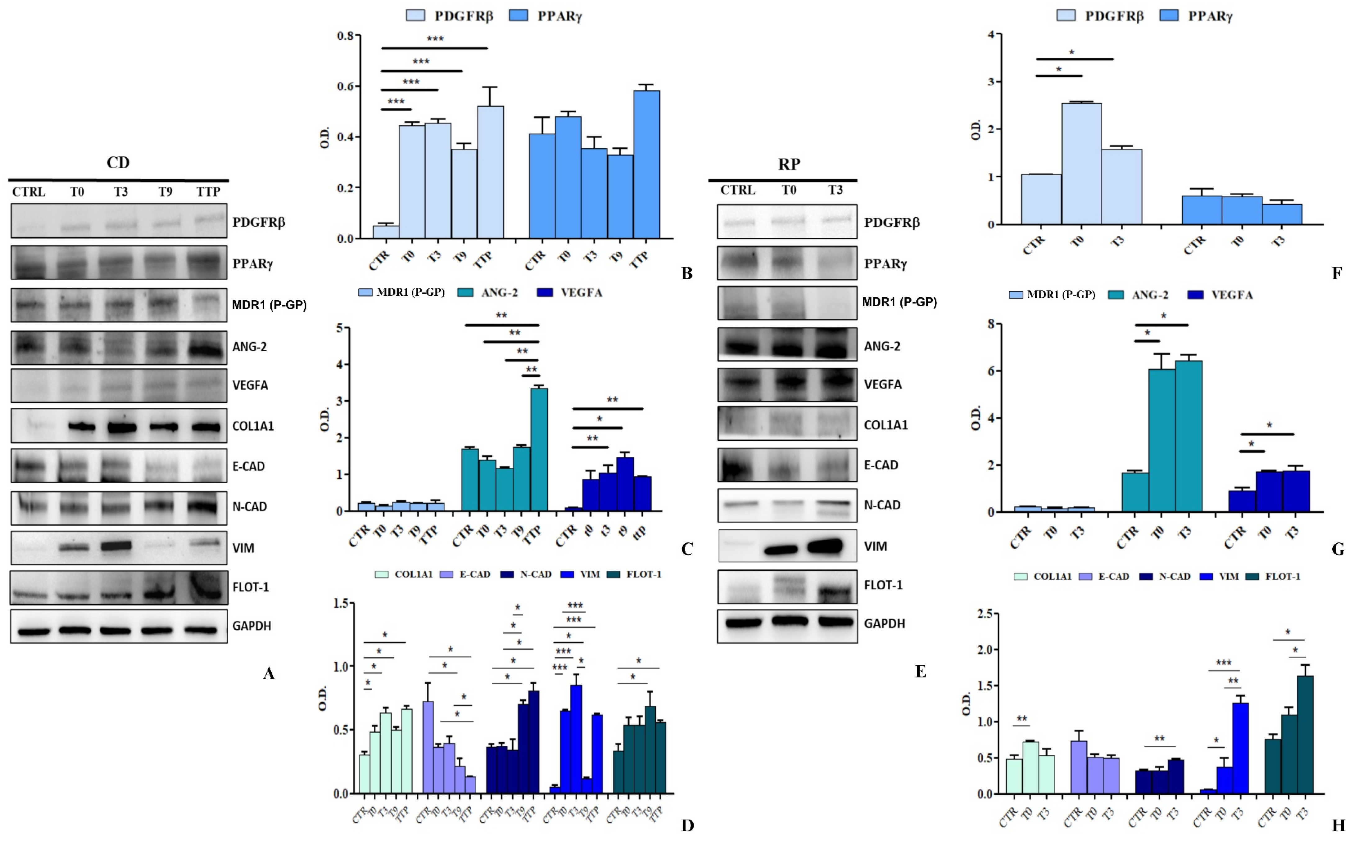 Cancers 17 01360 g008