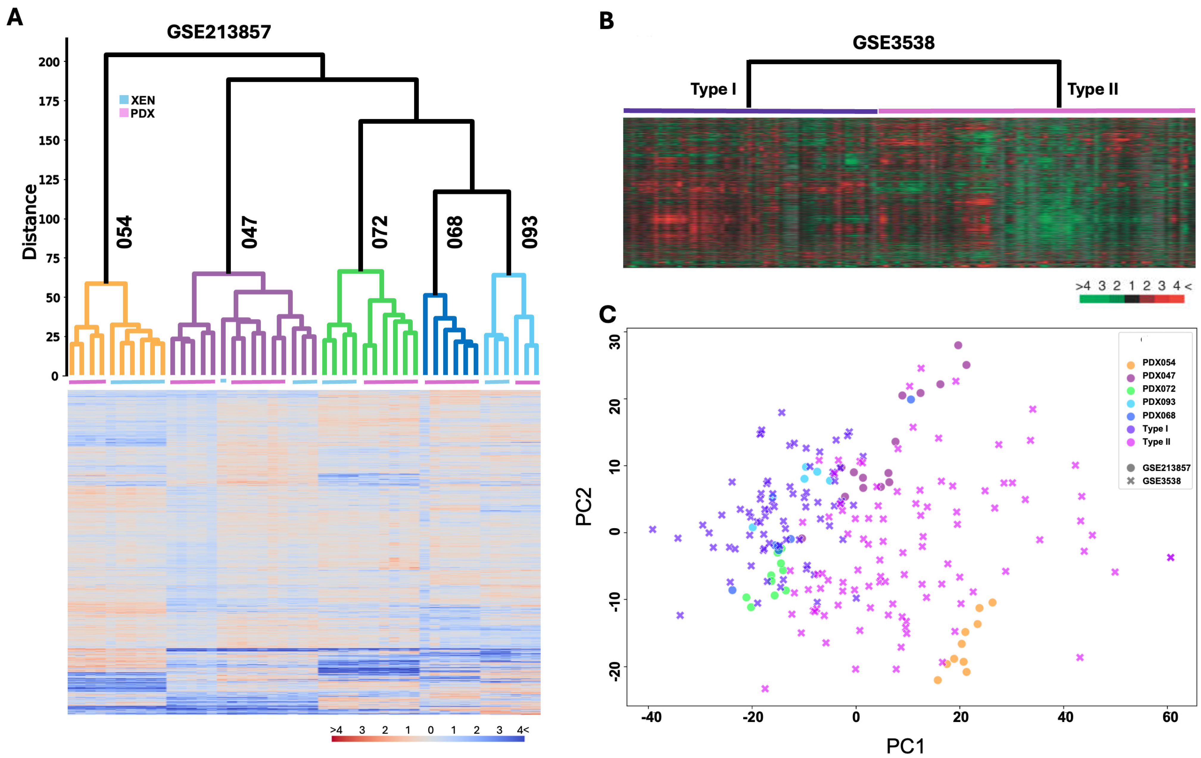 Cancers 17 01361 g002 Cancers 17 01361 g002