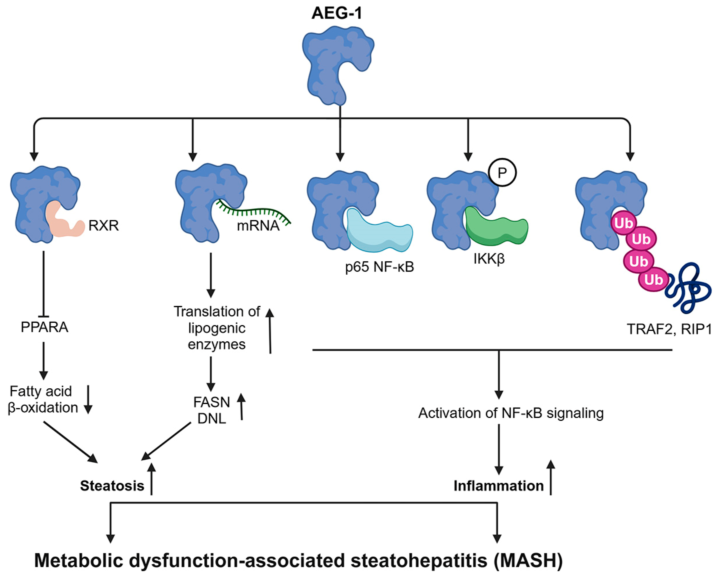 Cancers 17 01375 g003