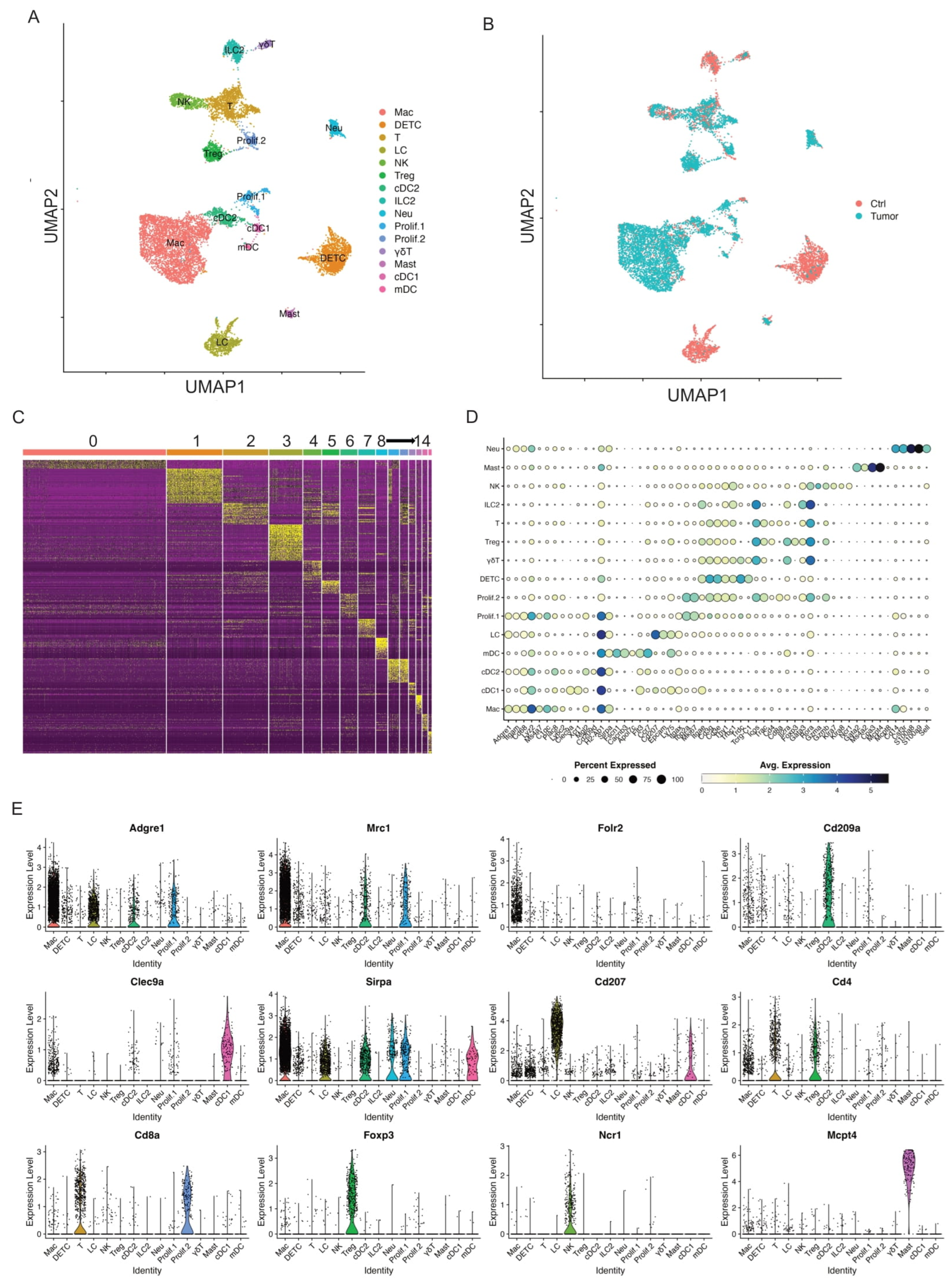 Cancers 17 01379 g001 Cancers 17 01379 g001