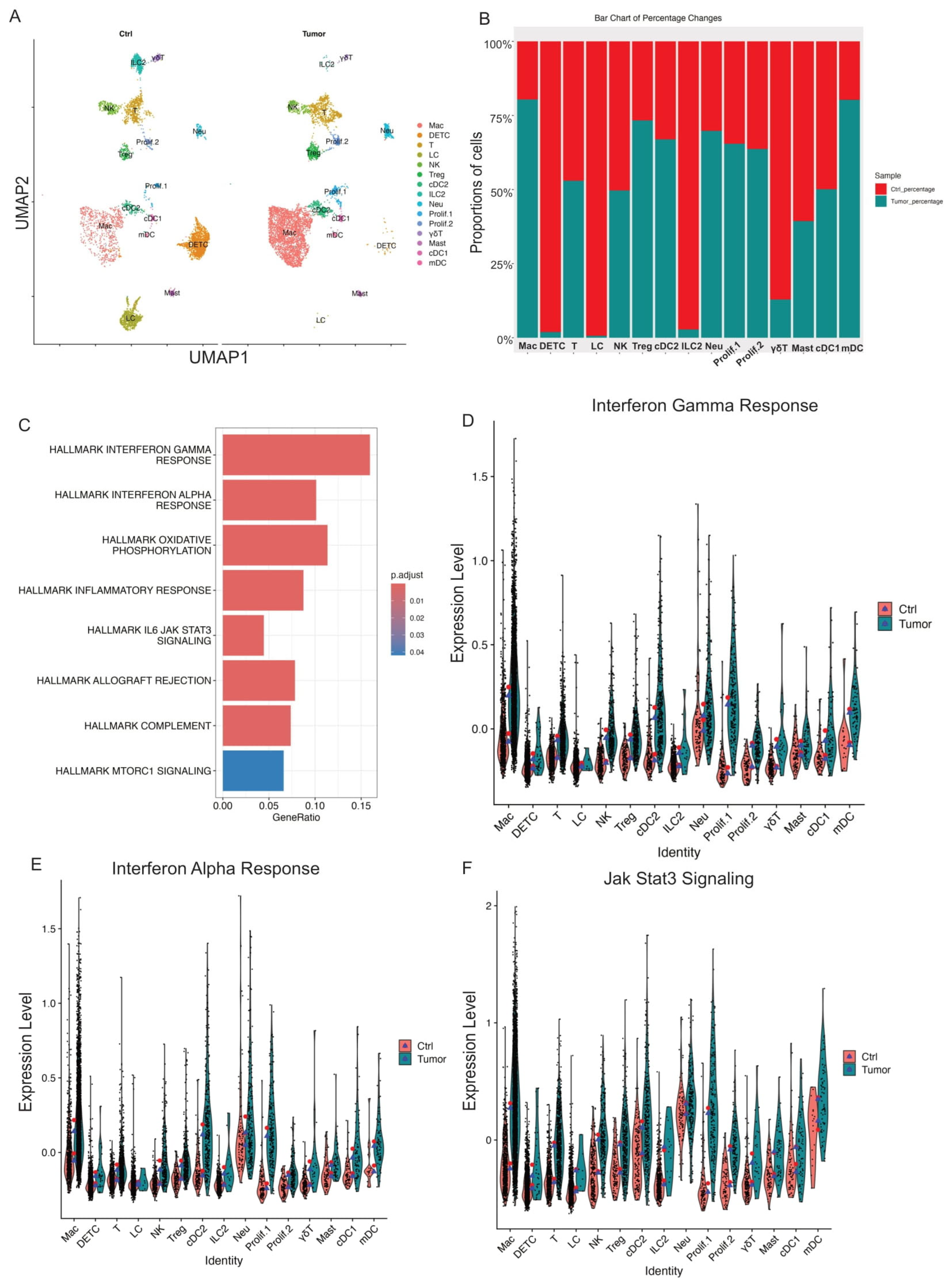 Cancers 17 01379 g002 Cancers 17 01379 g002