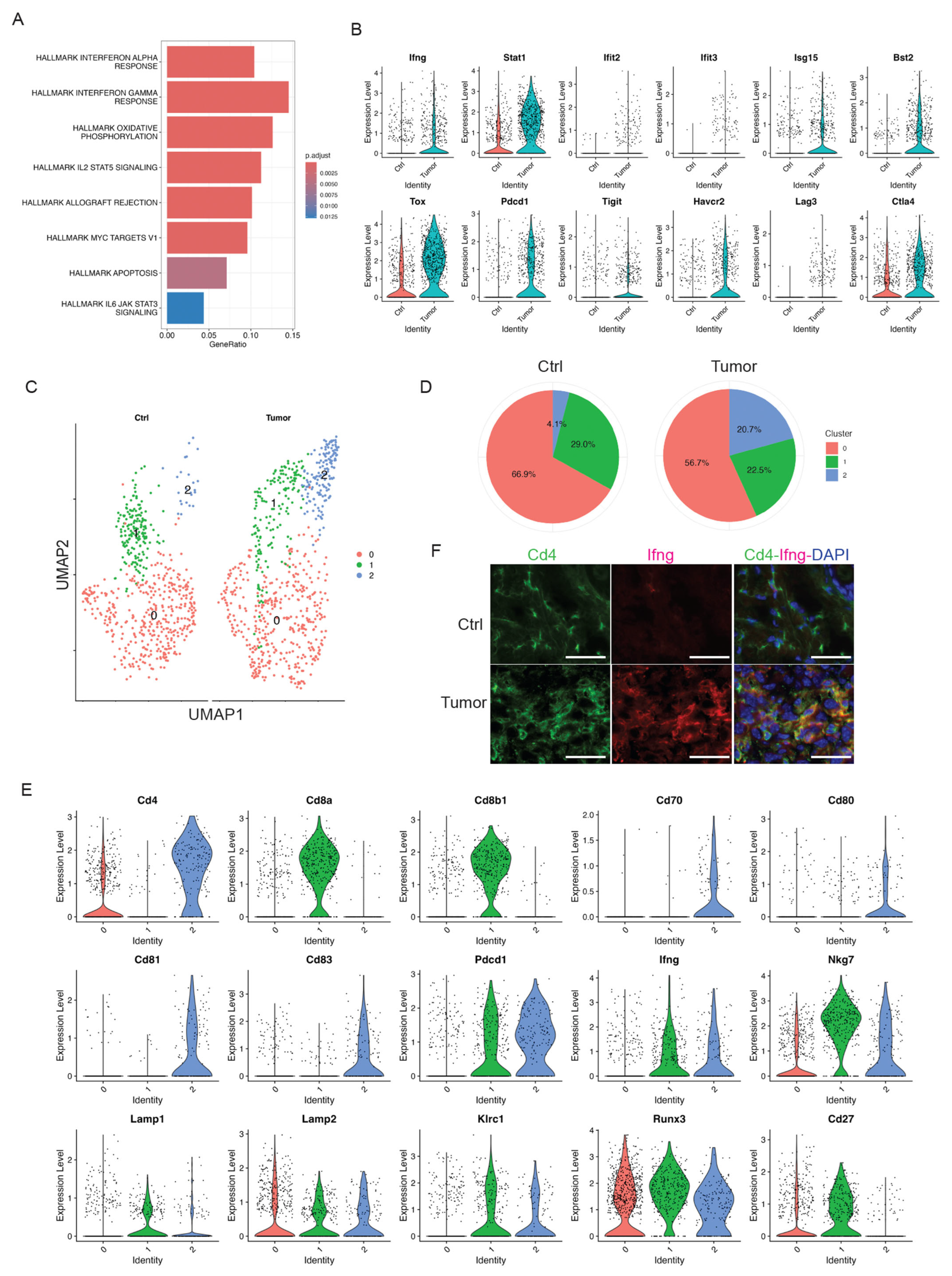 Cancers 17 01379 g004 Cancers 17 01379 g004