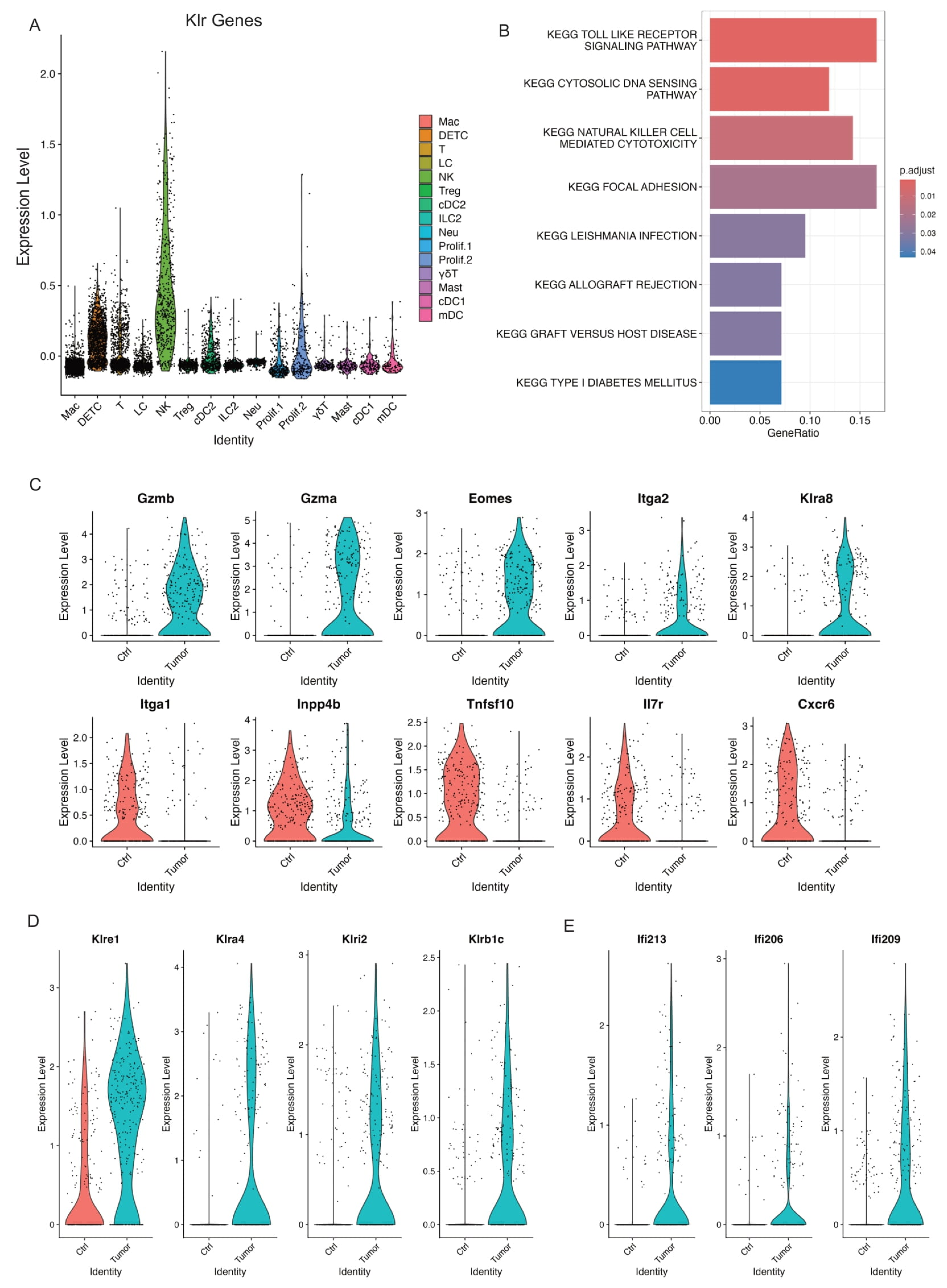 Cancers 17 01379 g005 Cancers 17 01379 g005