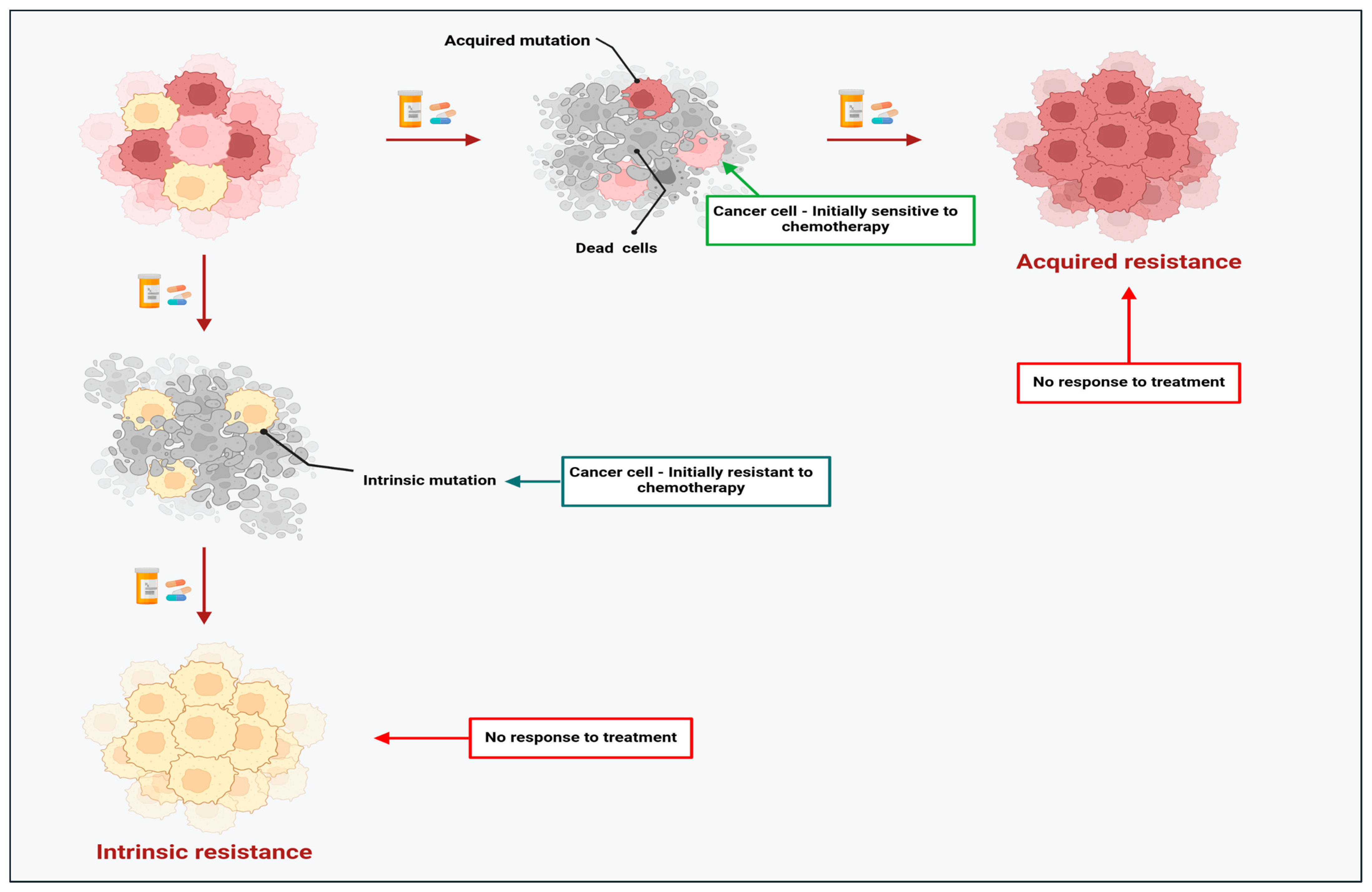 Cancers 17 01381 g002 Cancers 17 01381 g002