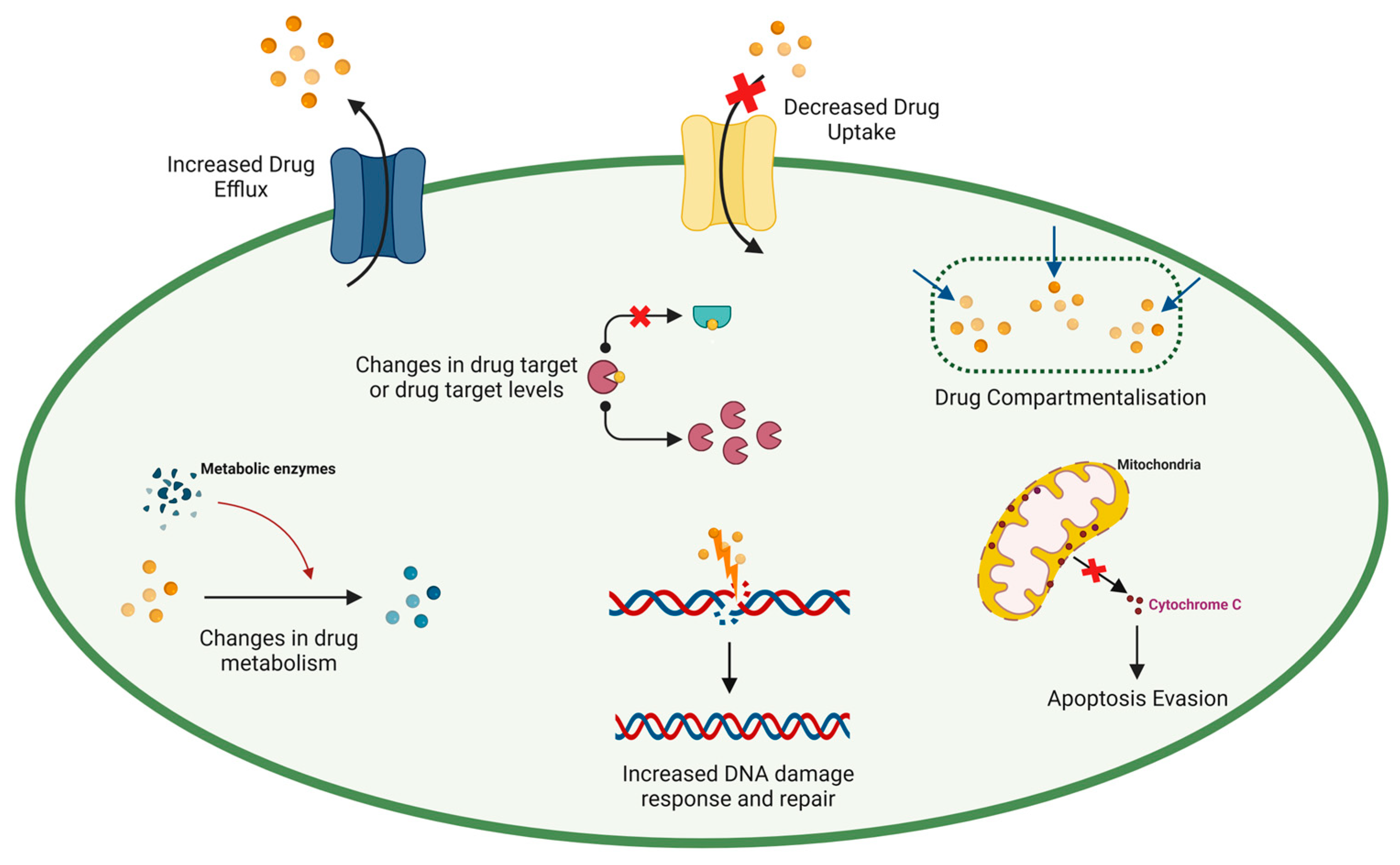 Cancers 17 01381 g003 Cancers 17 01381 g003