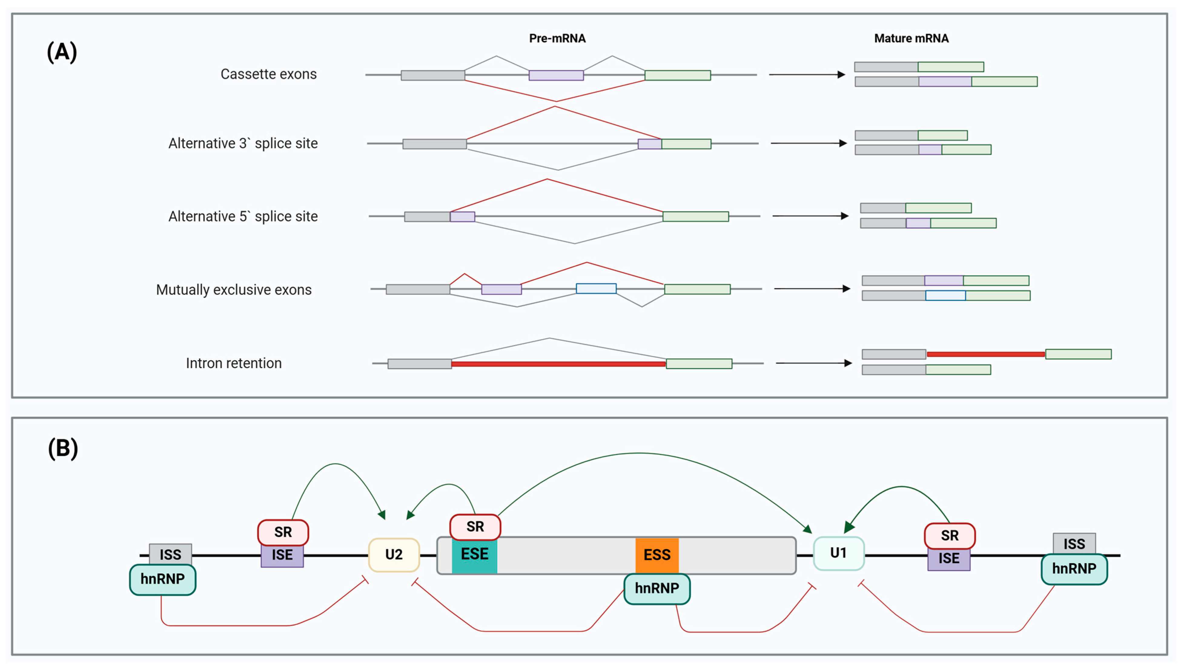 Cancers 17 01381 g004 Cancers 17 01381 g004
