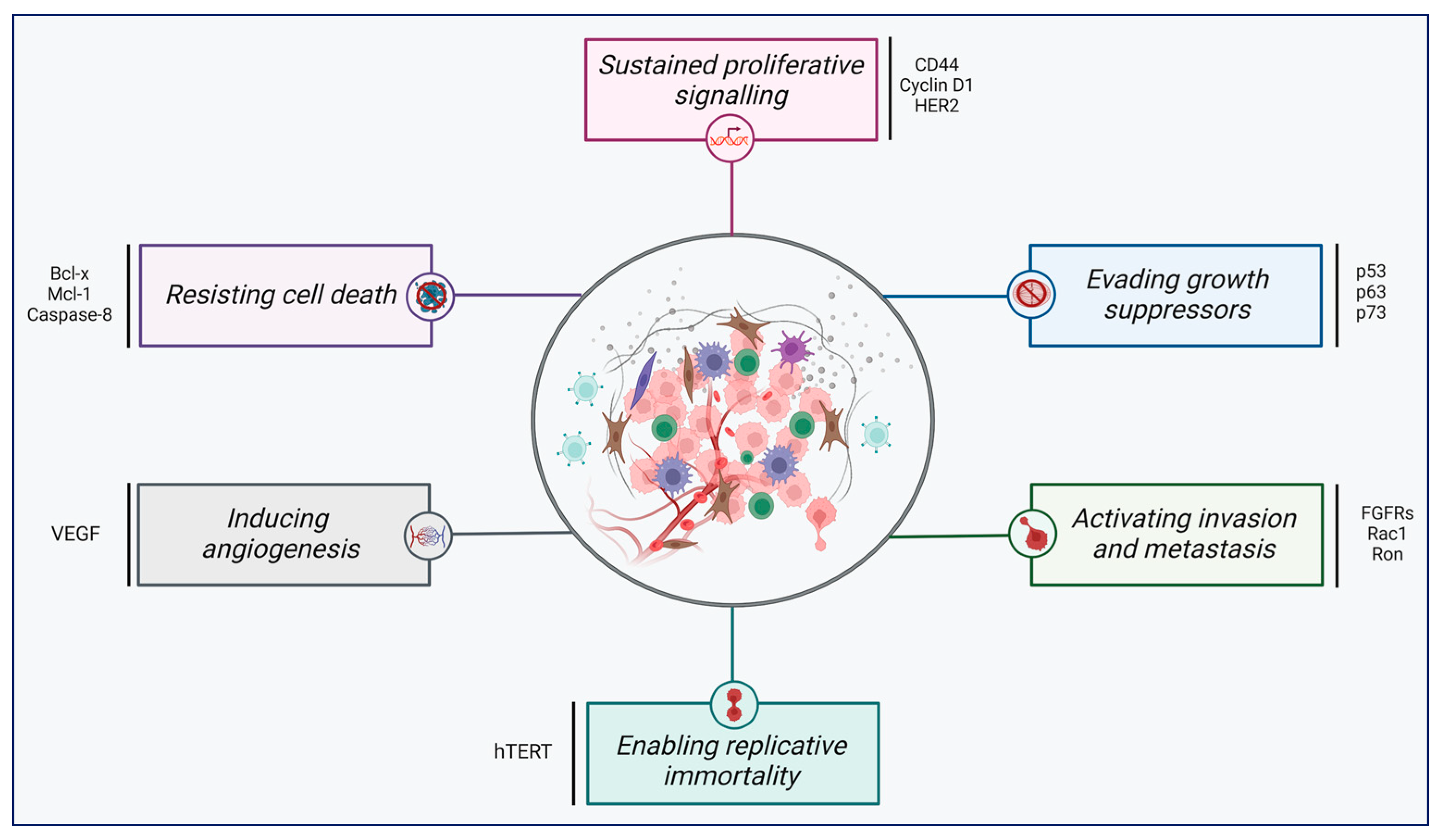Cancers 17 01381 g005 Cancers 17 01381 g005
