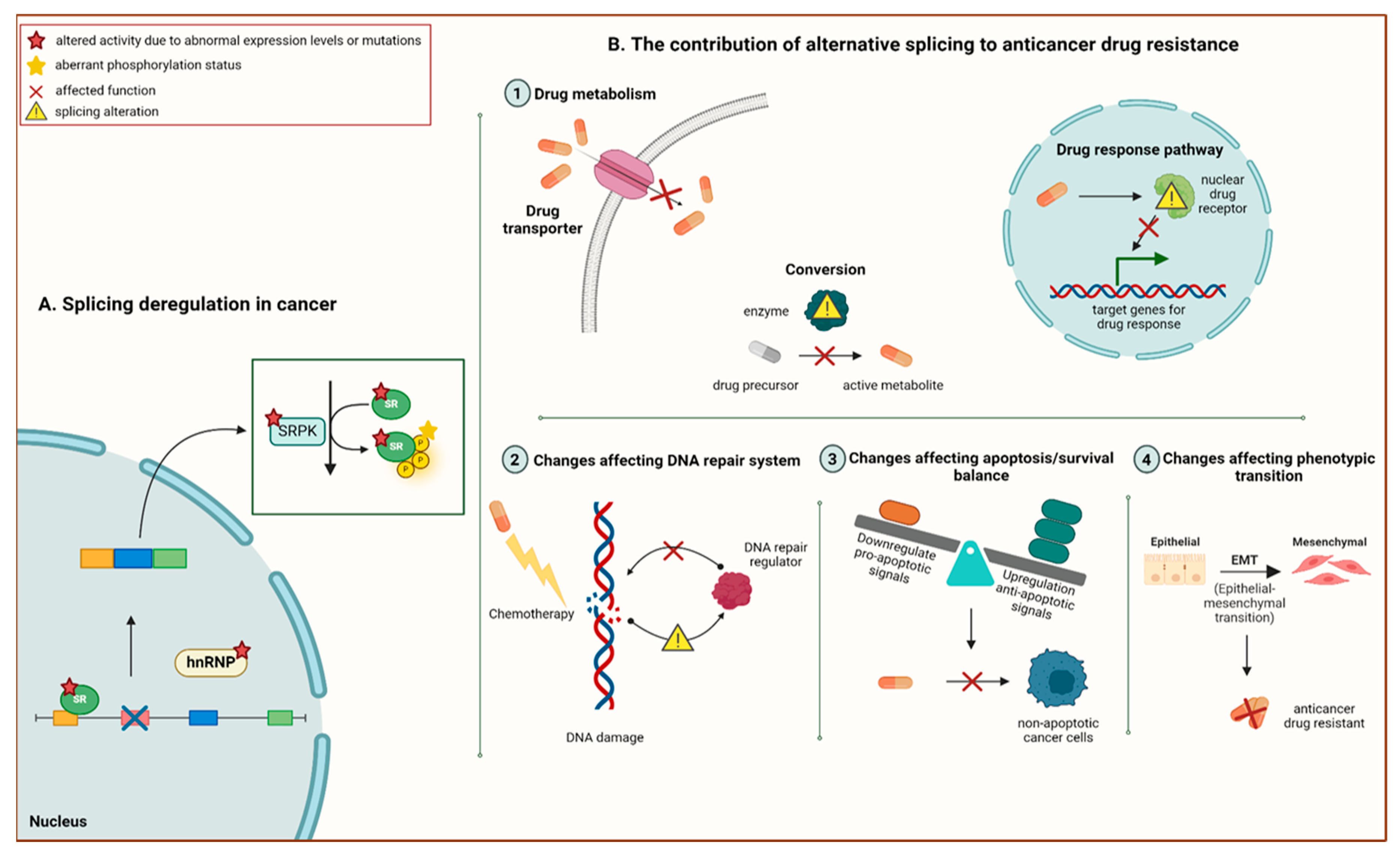 Cancers 17 01381 g006 Cancers 17 01381 g006
