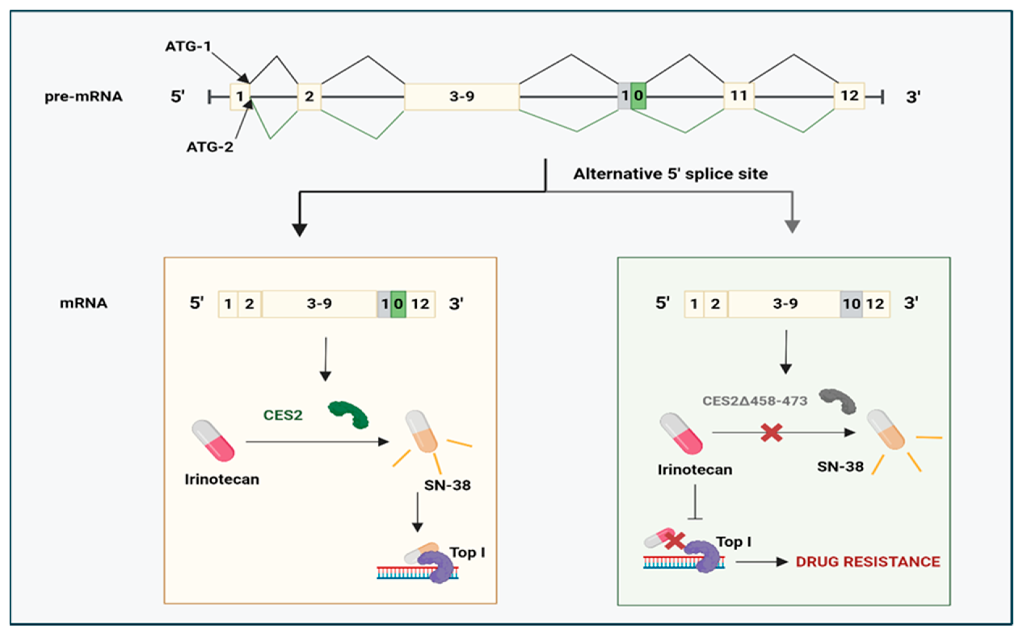 Cancers 17 01381 g007 Cancers 17 01381 g007