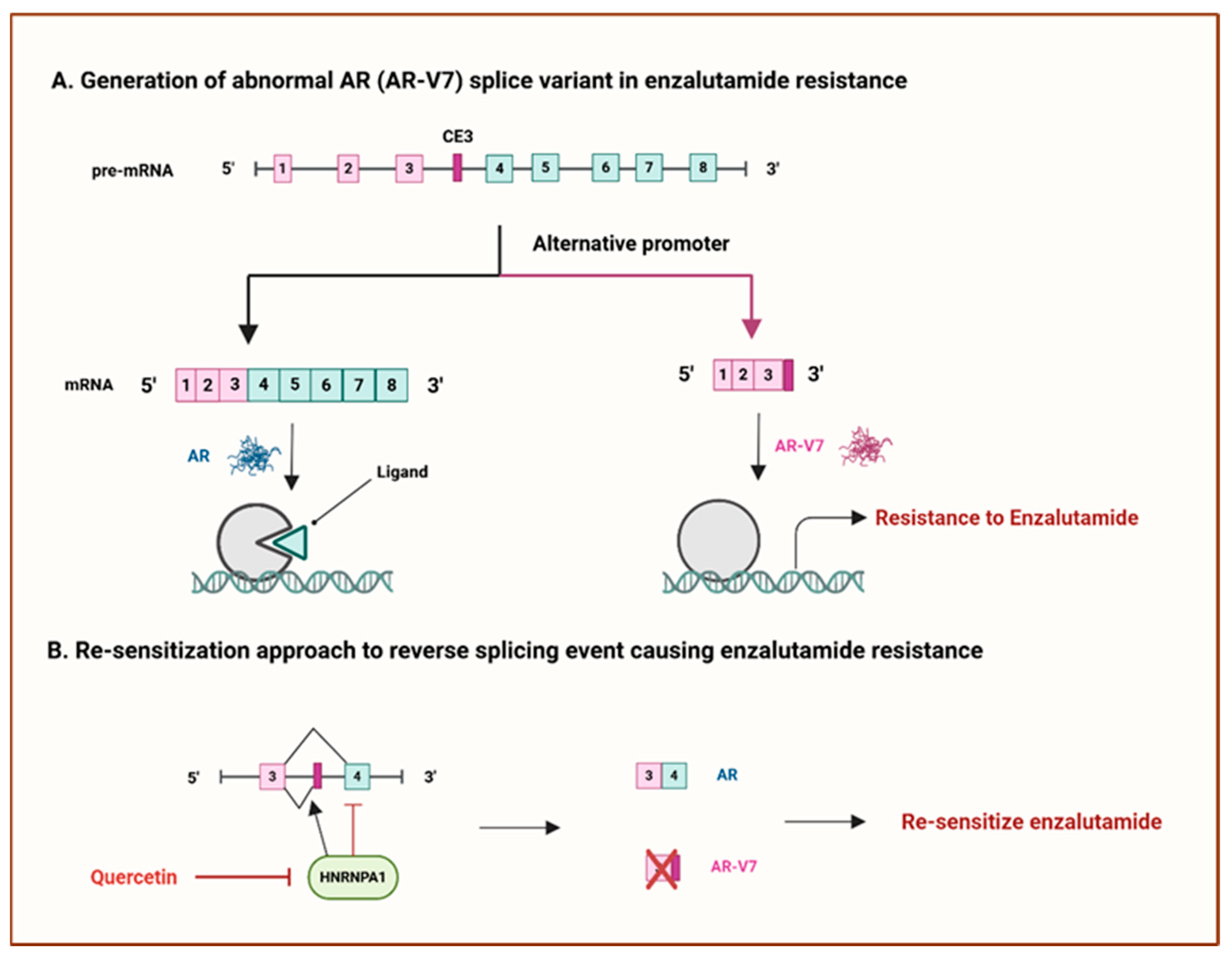 Cancers 17 01381 g008 Cancers 17 01381 g008